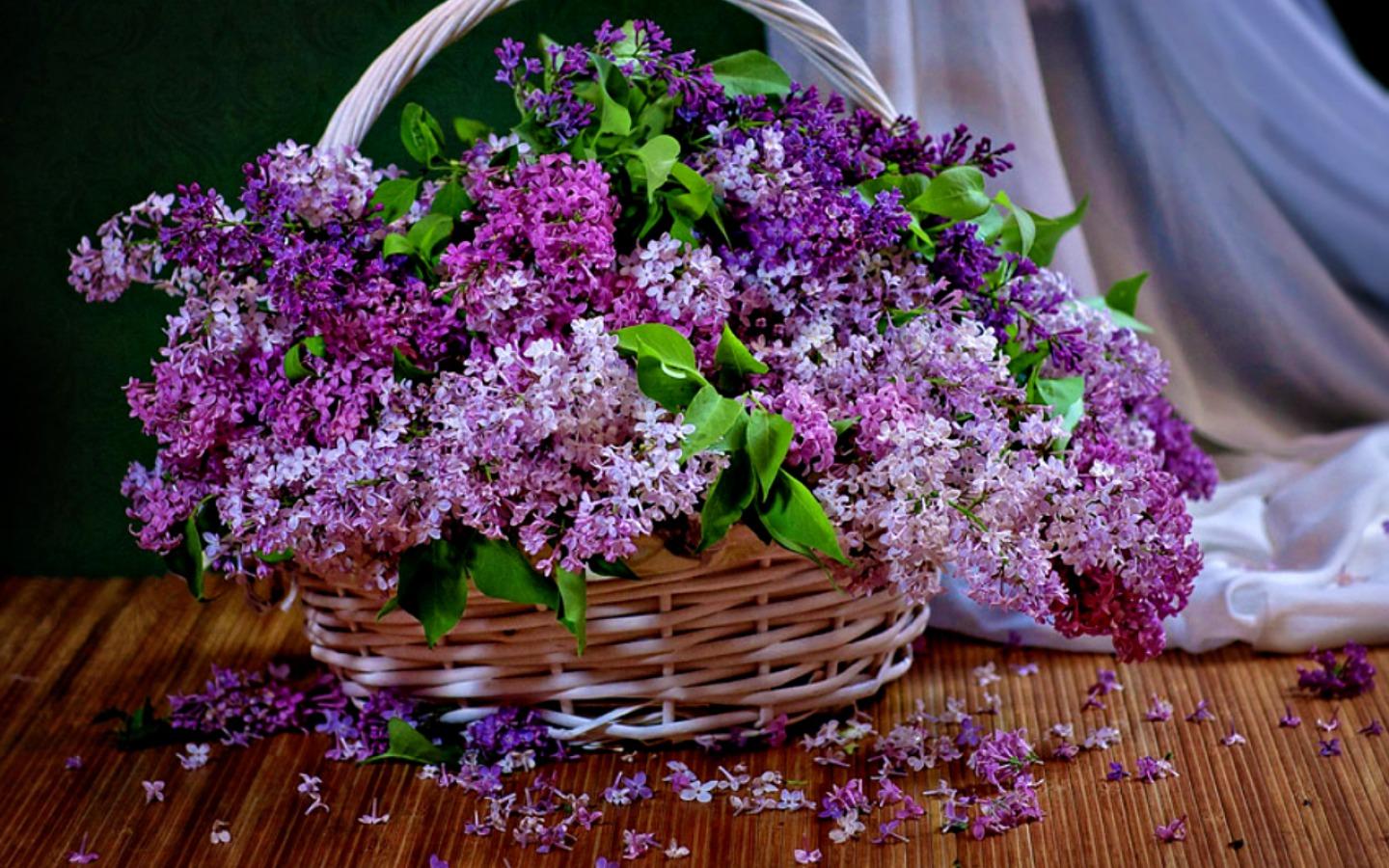 Basket of Lilacs Wallpaper and Background Imagex900