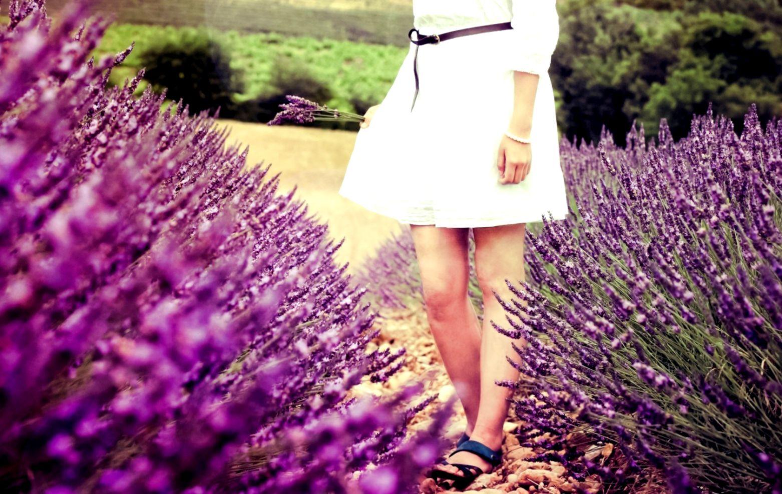 Flowers Lavender Basket Macro HD Wallpaper