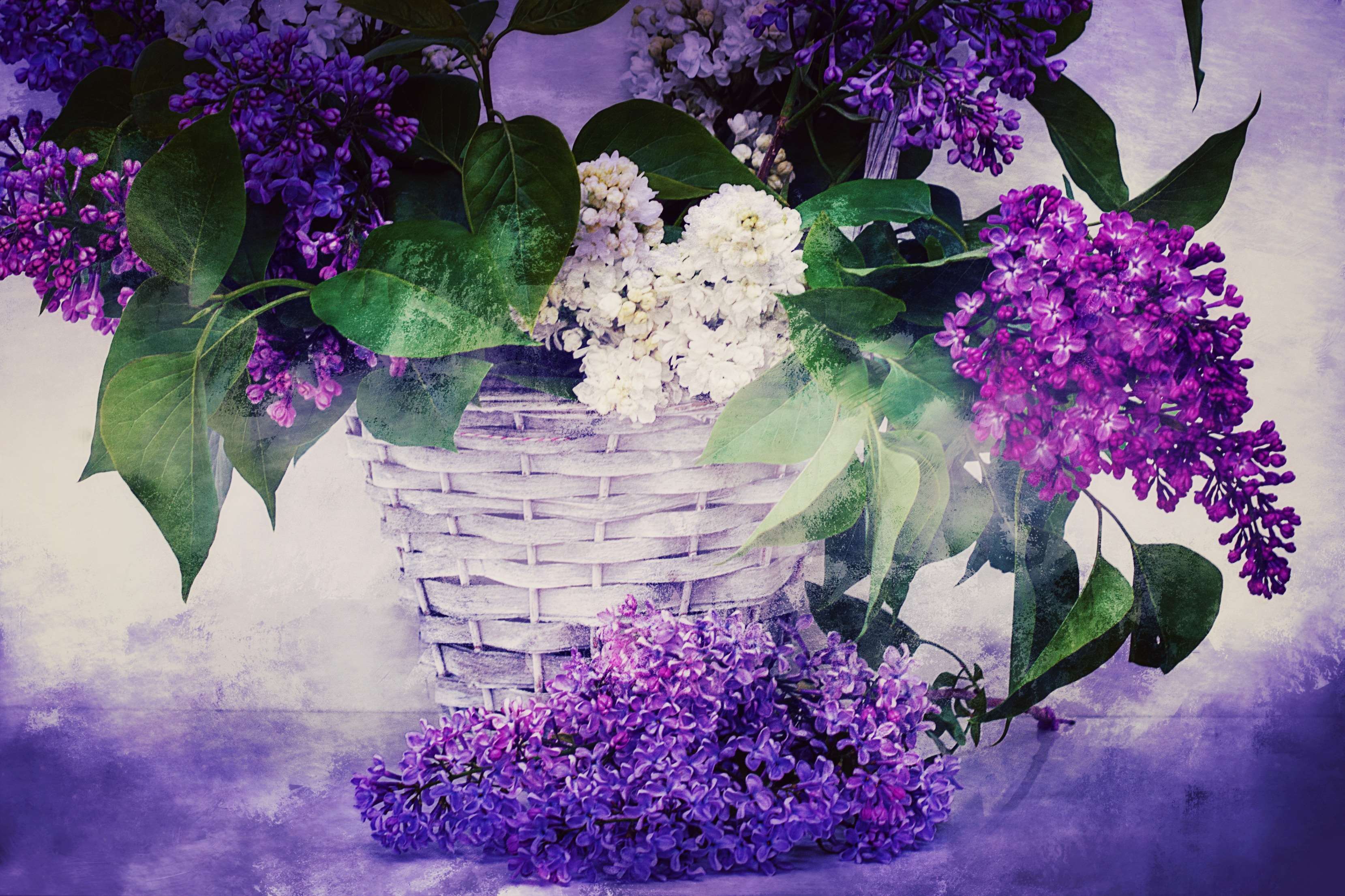 background, basket, bloom, decorative, design, flora, floral