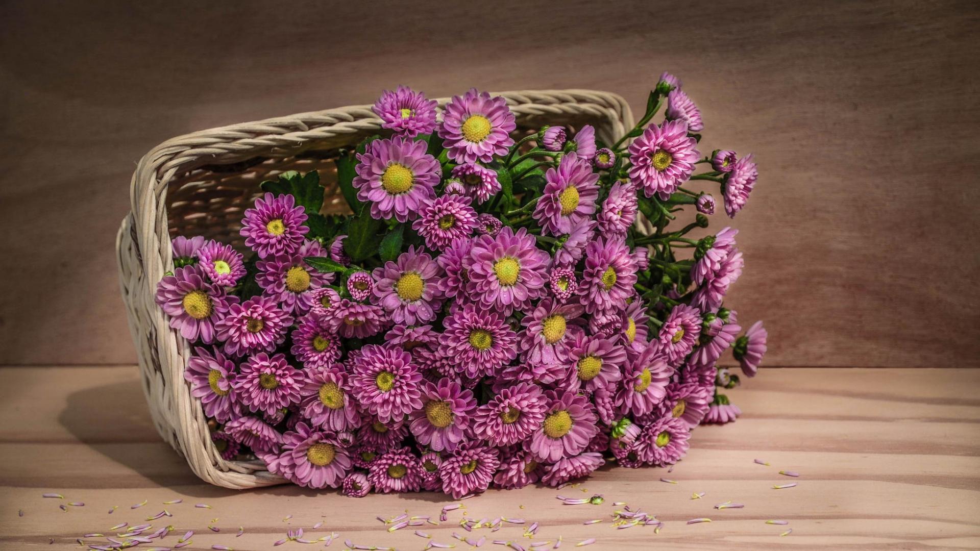 Full HD Wallpaper basket violet petal table, Desktop Background HD