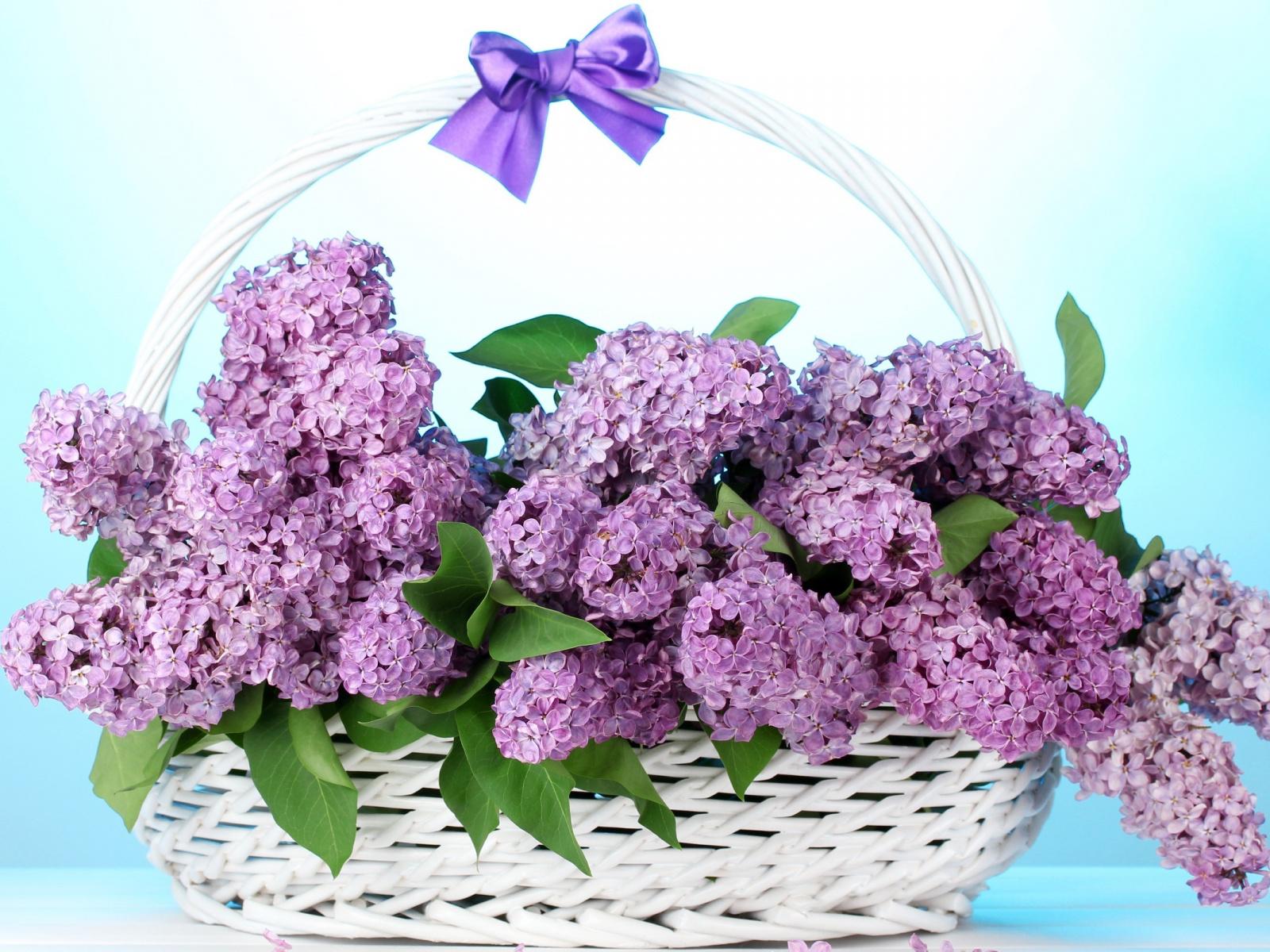 Download 1600x1200 Wallpaper Lilac Flowers, Gift, Basket, Standard 4