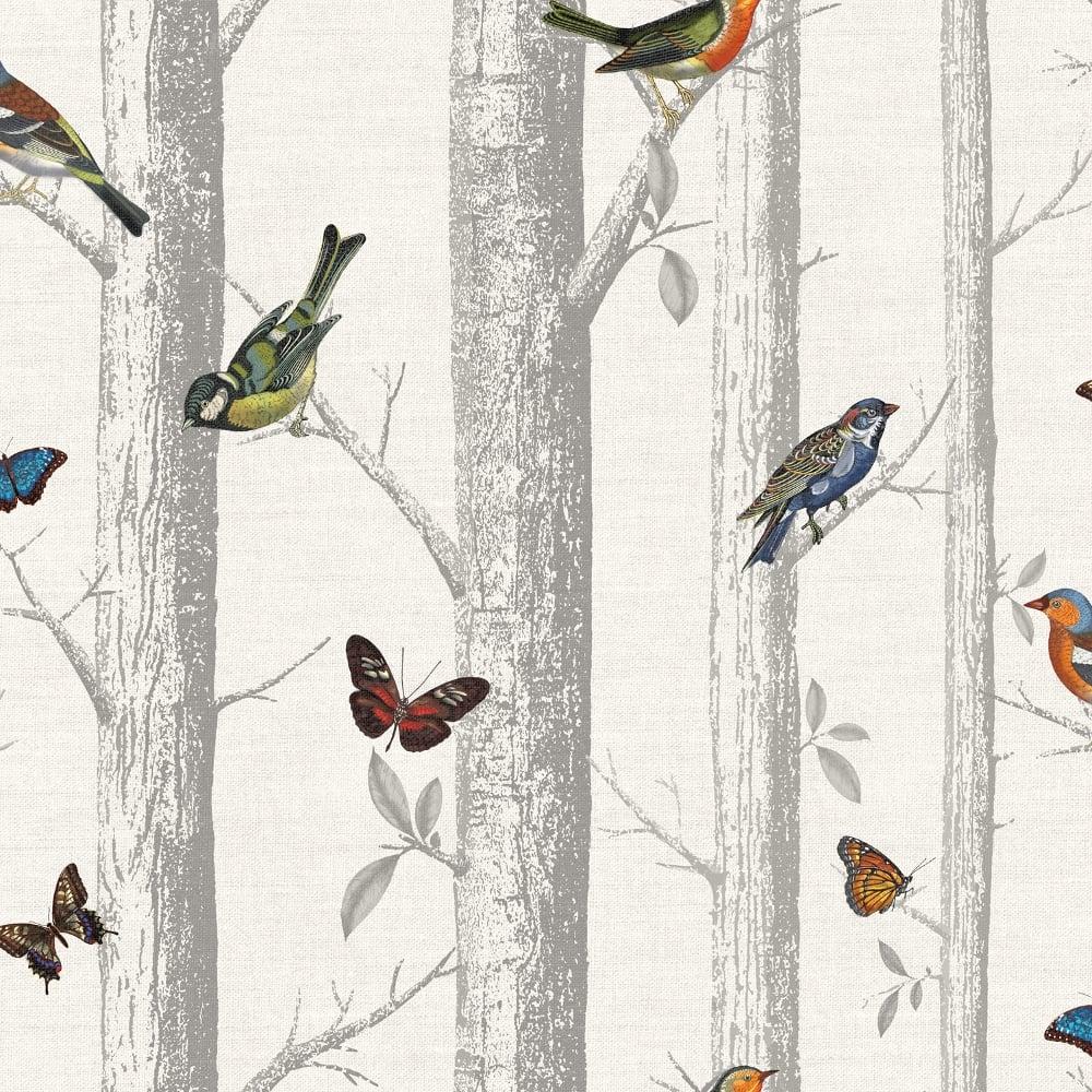 2704420  Birds Butterflies Multi On White  Schumacher Wallpaper