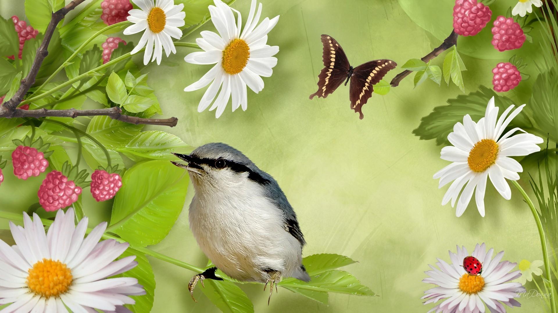 Wallpaper Birds and Flowers