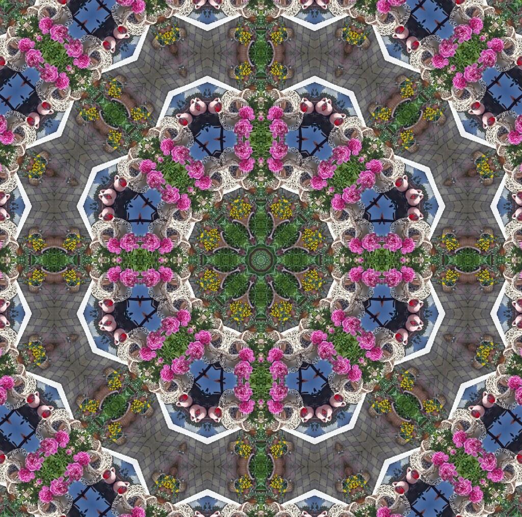 The World's most recently posted photo of kaleidoscope