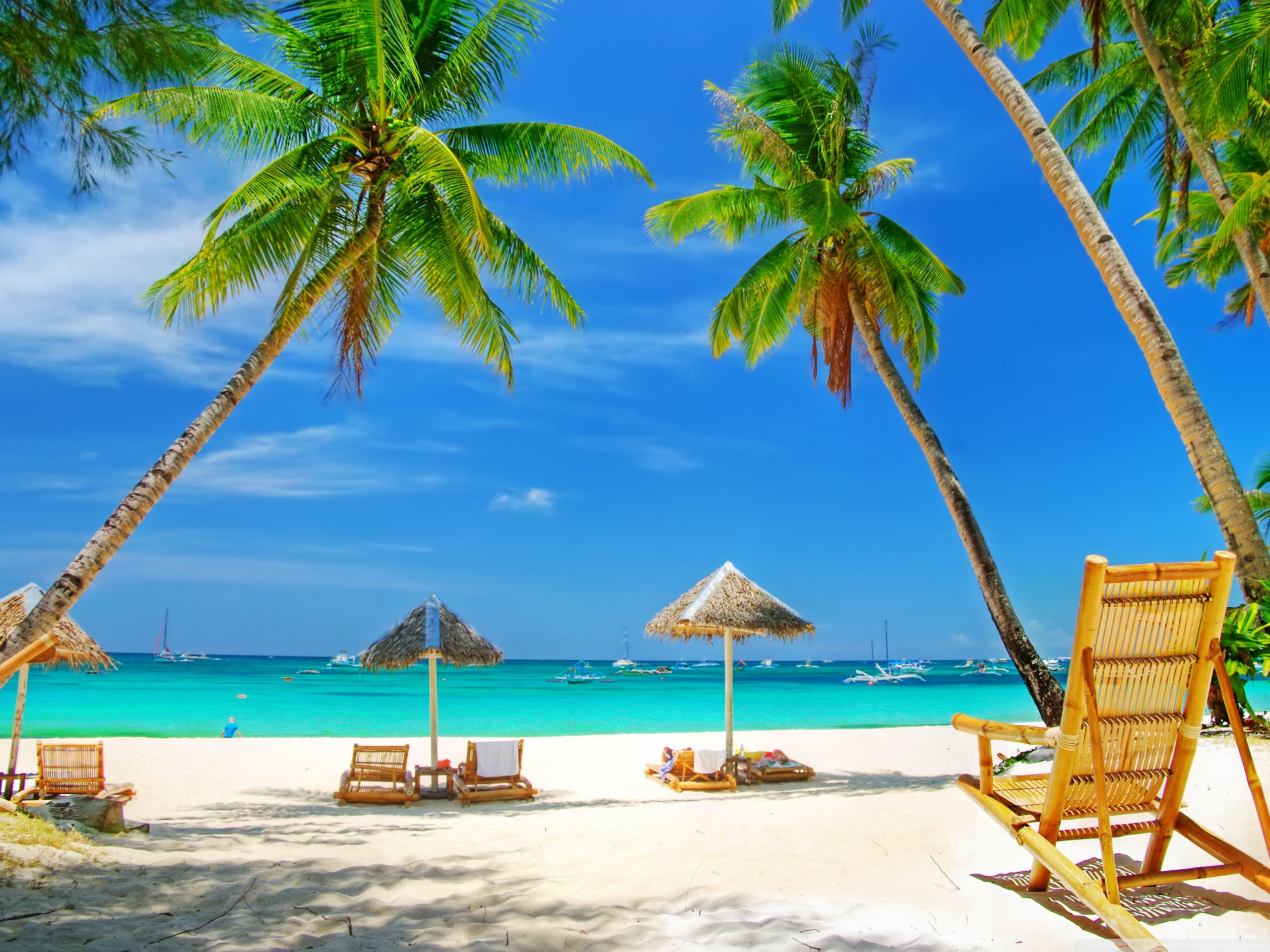Tropical Paradise Beach Ultra HD Desktop Background Wallpaper