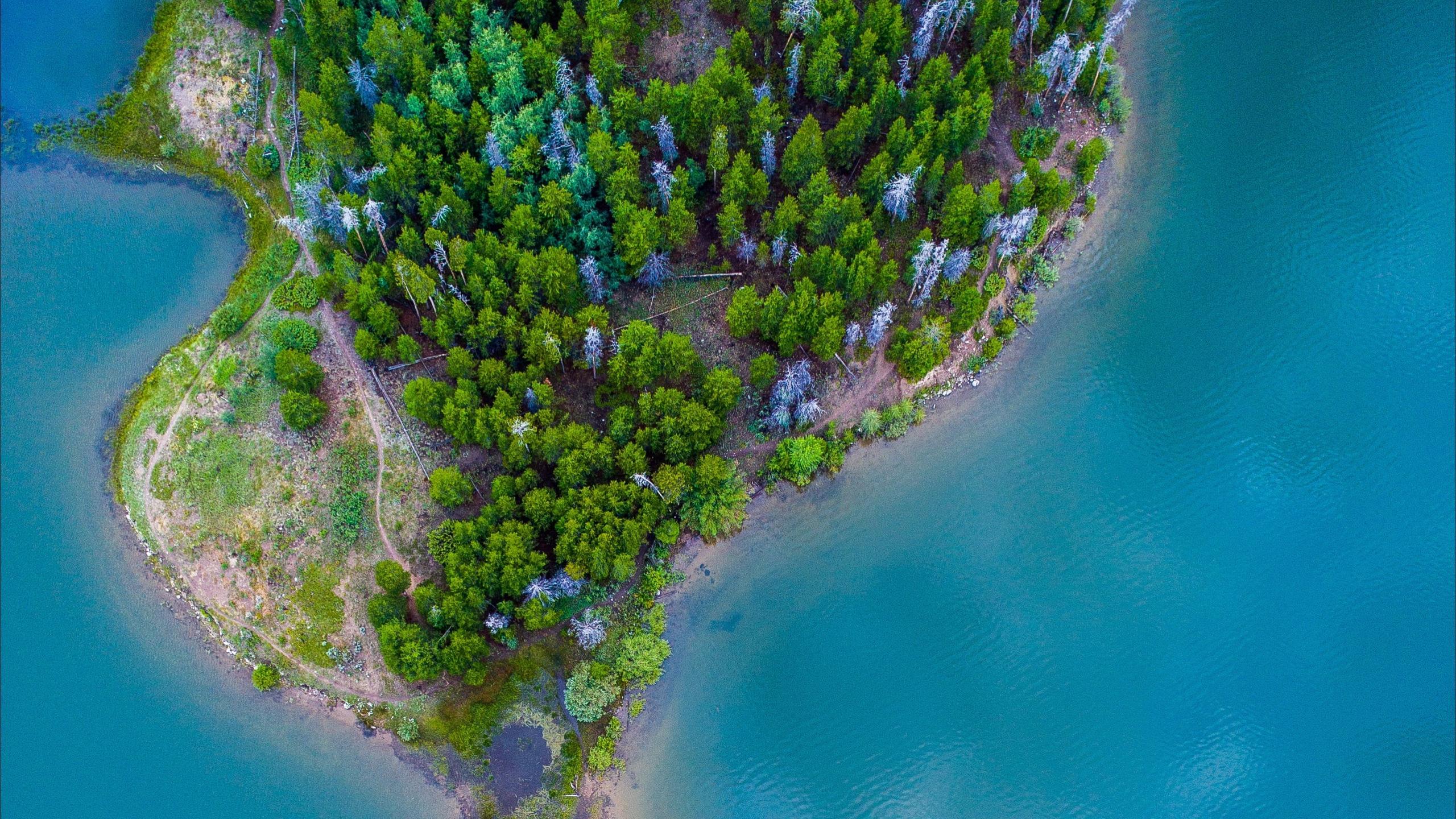 Download wallpaper 2560x1440 island, ocean, aerial view, paradise