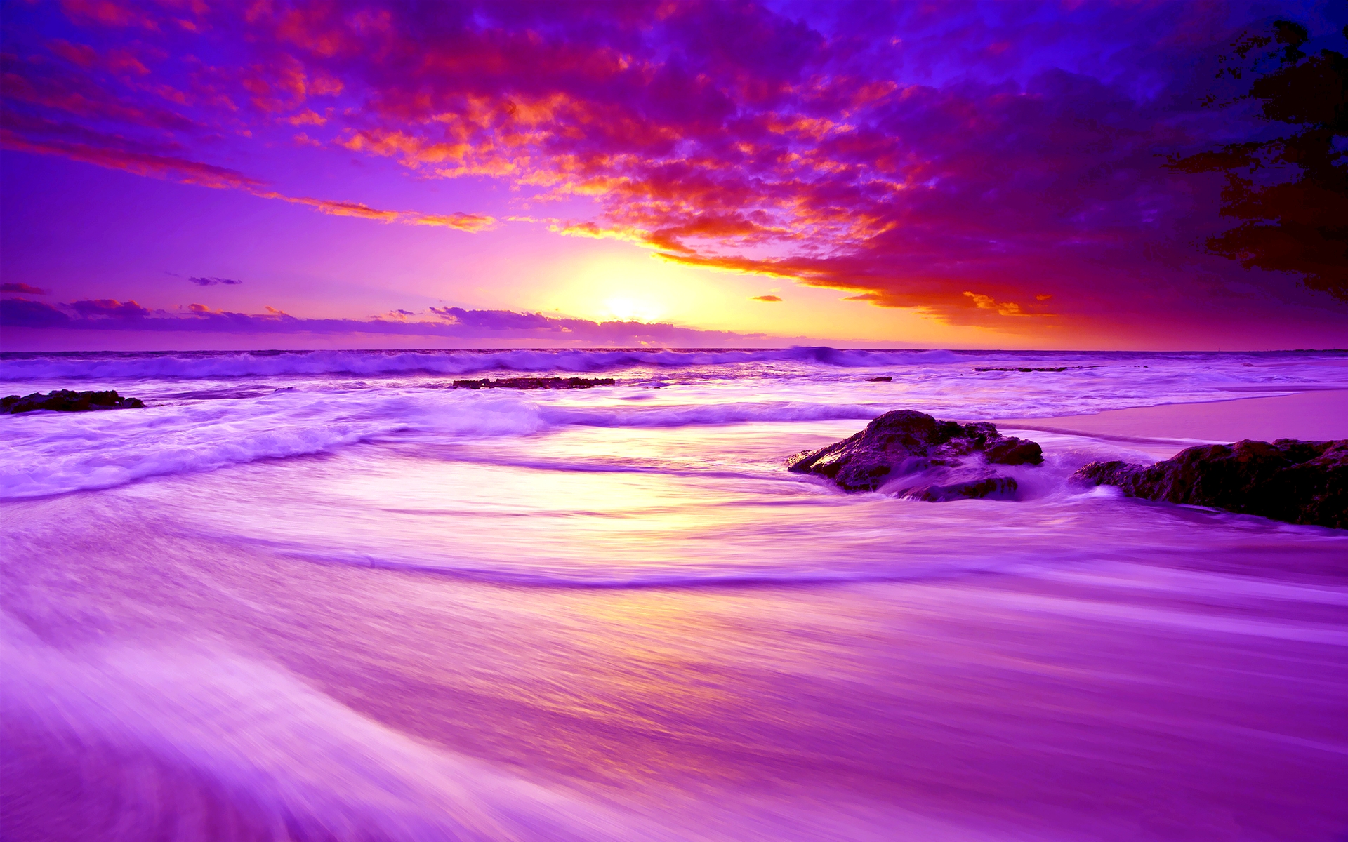 Purple Sunset Paradise # 1920x1200. All For Desktop
