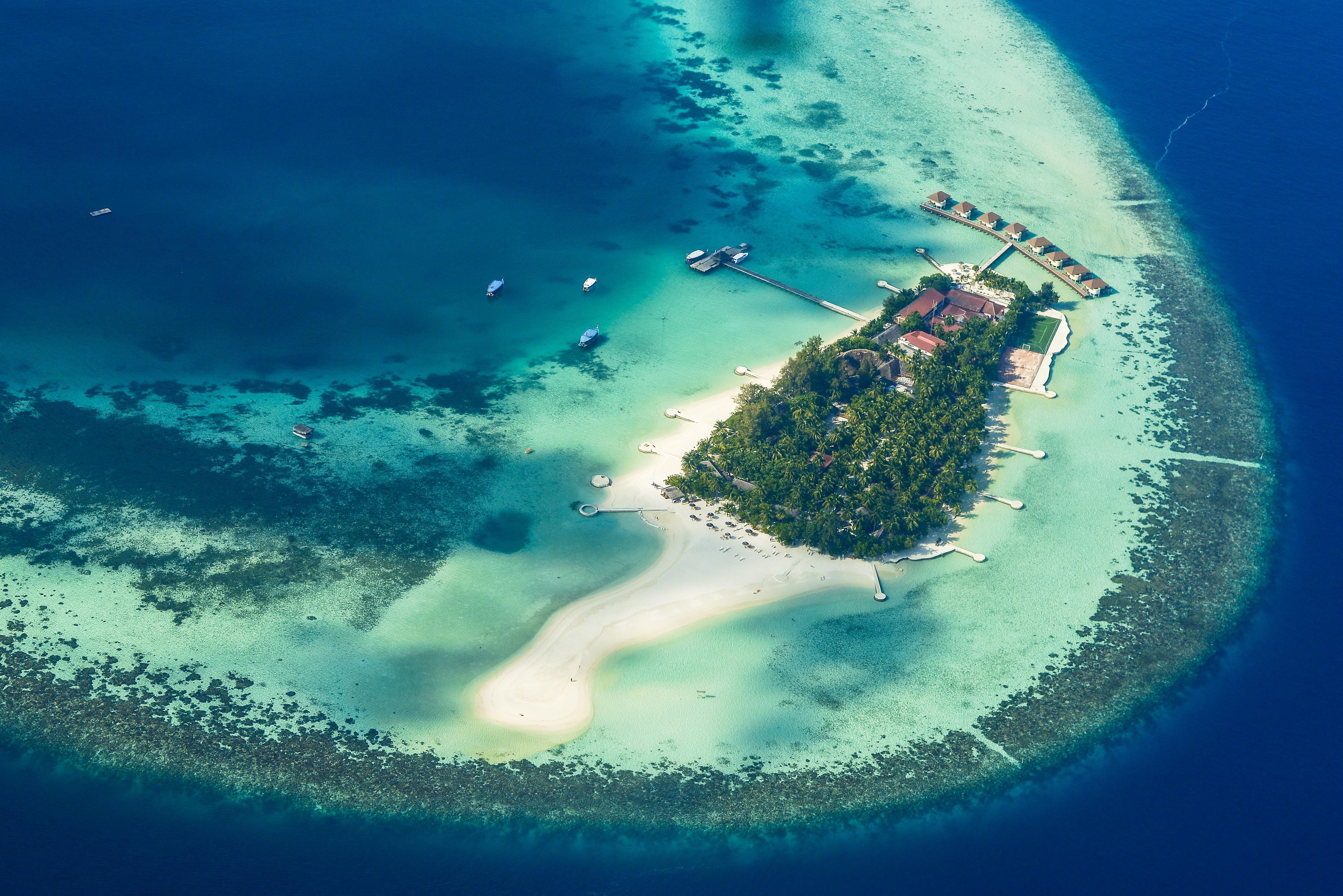 wallpaper island, ocean, bungalow, palm trees, top view, tropics