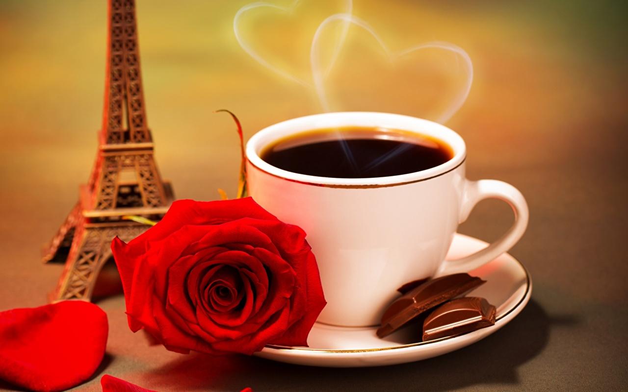 image Eiffel Tower Roses Coffee Cup Food Vapor Saucer Drinks