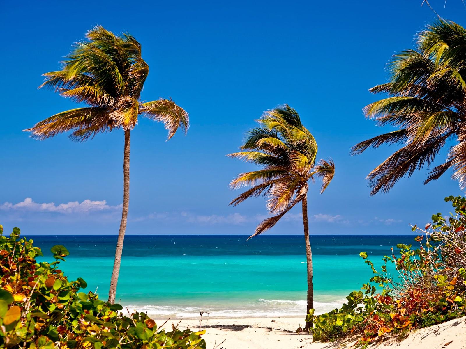 background image of Caribbean island cuba