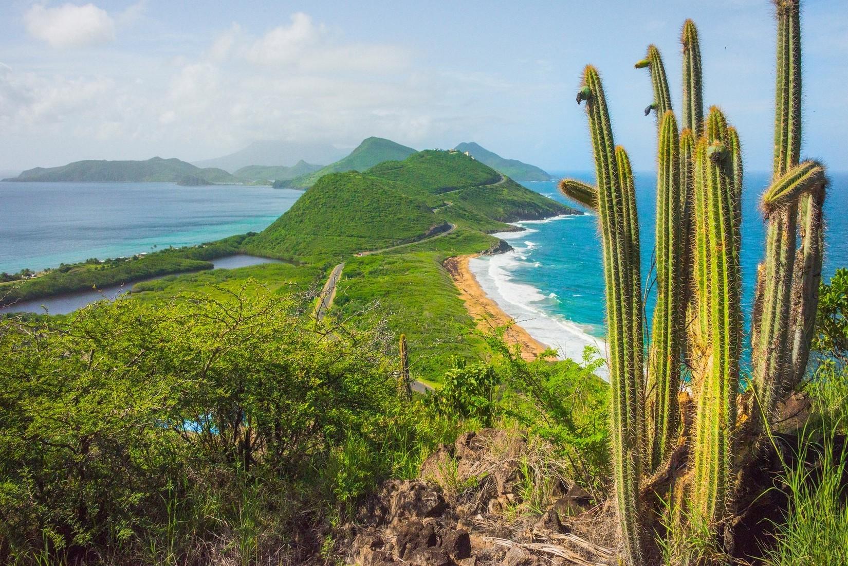 nature, Landscape, Beach, Cactus, Hill, Sea, Caribbean, Island