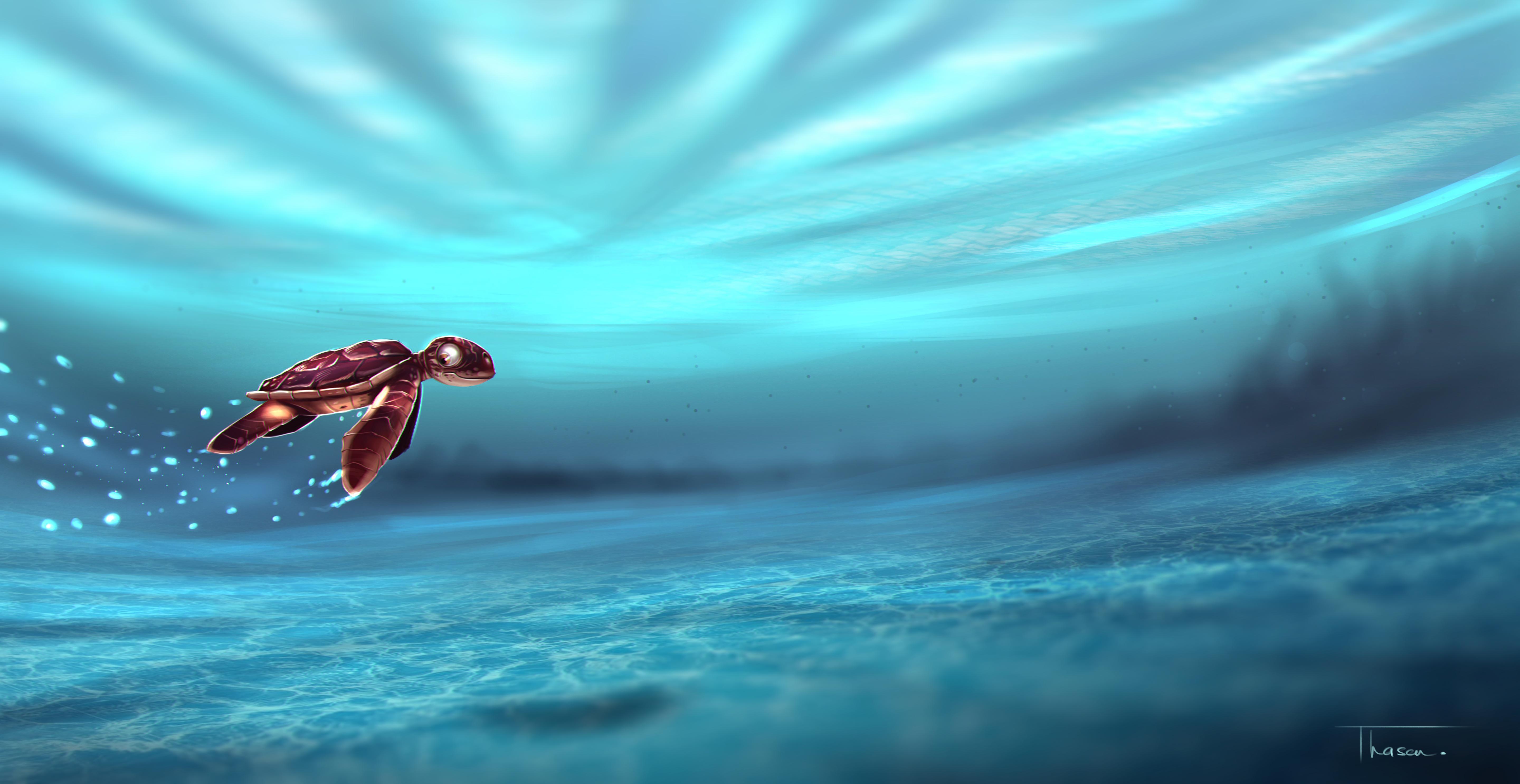 Baby Sea Turtle Wallpapers - Wallpaper Cave