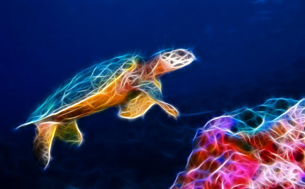 Download Download Sea Turtle Animated Wallpaper DesktopAnimatedcom