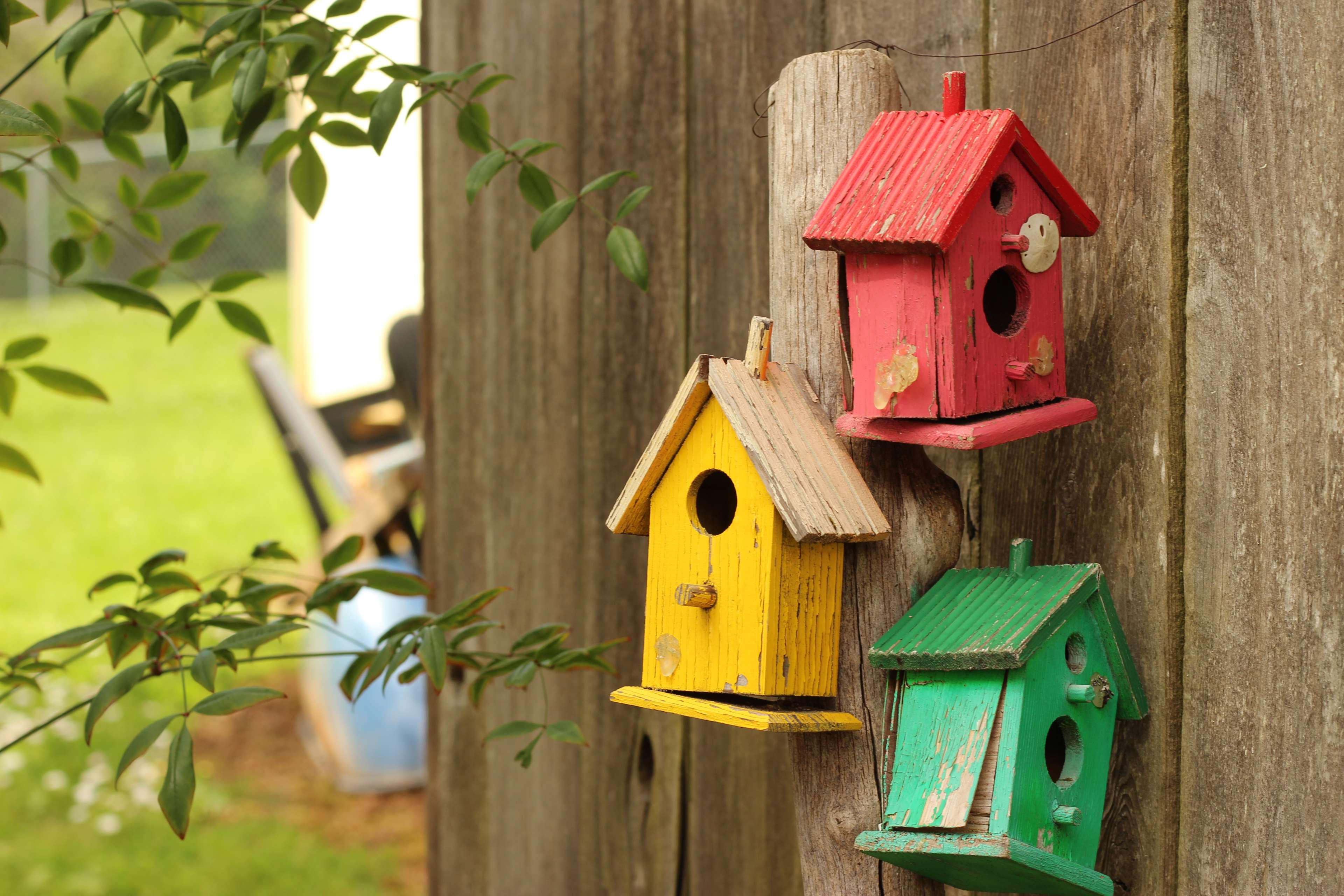 bird house, birdhouse, fence 4k wallpaper and background