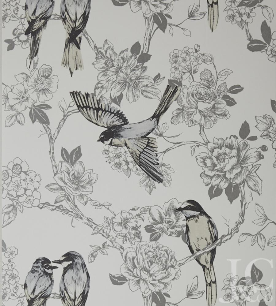 Songbird Wallpaper 1080p #J96Y1RJ
