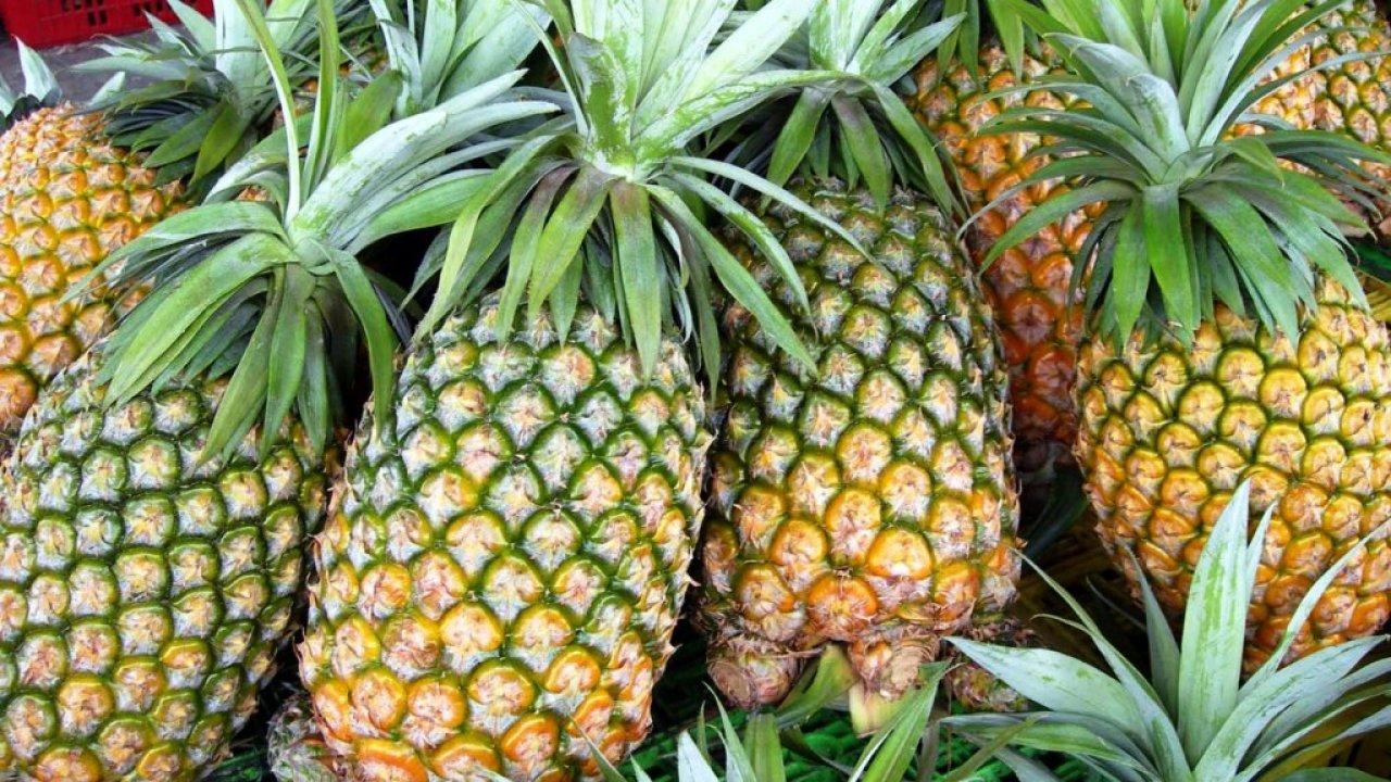 Nature, Beautiful, Pineapple, Background, Picture, New, Best, HD