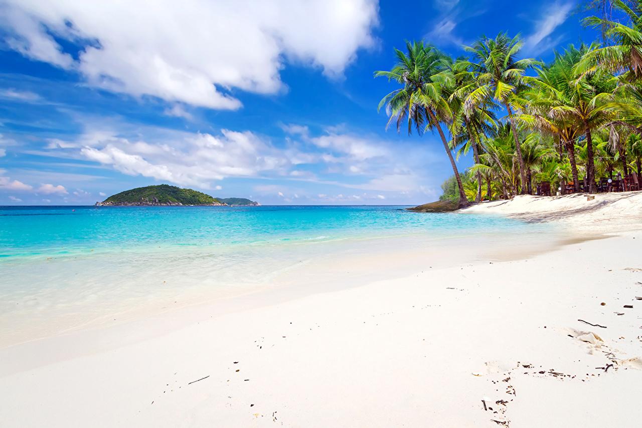 Photos Thailand Phuket Beach Nature Sky Sand Tropics palm trees