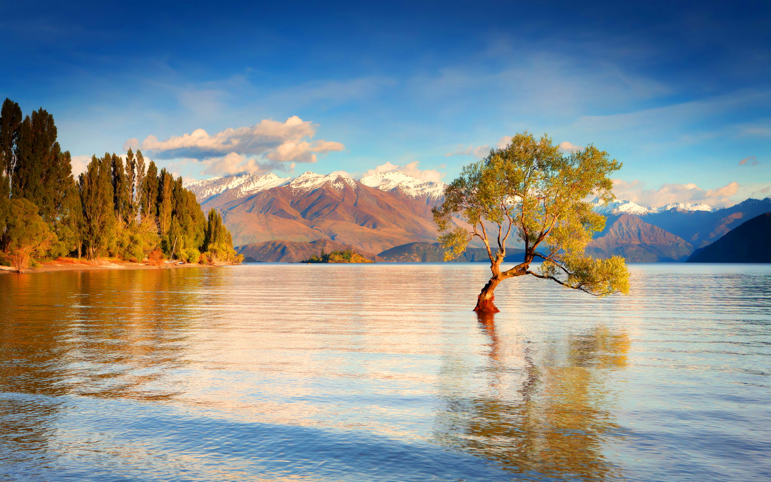 #lake, #clouds, #snow, #forest, #New Zealand, #mountains