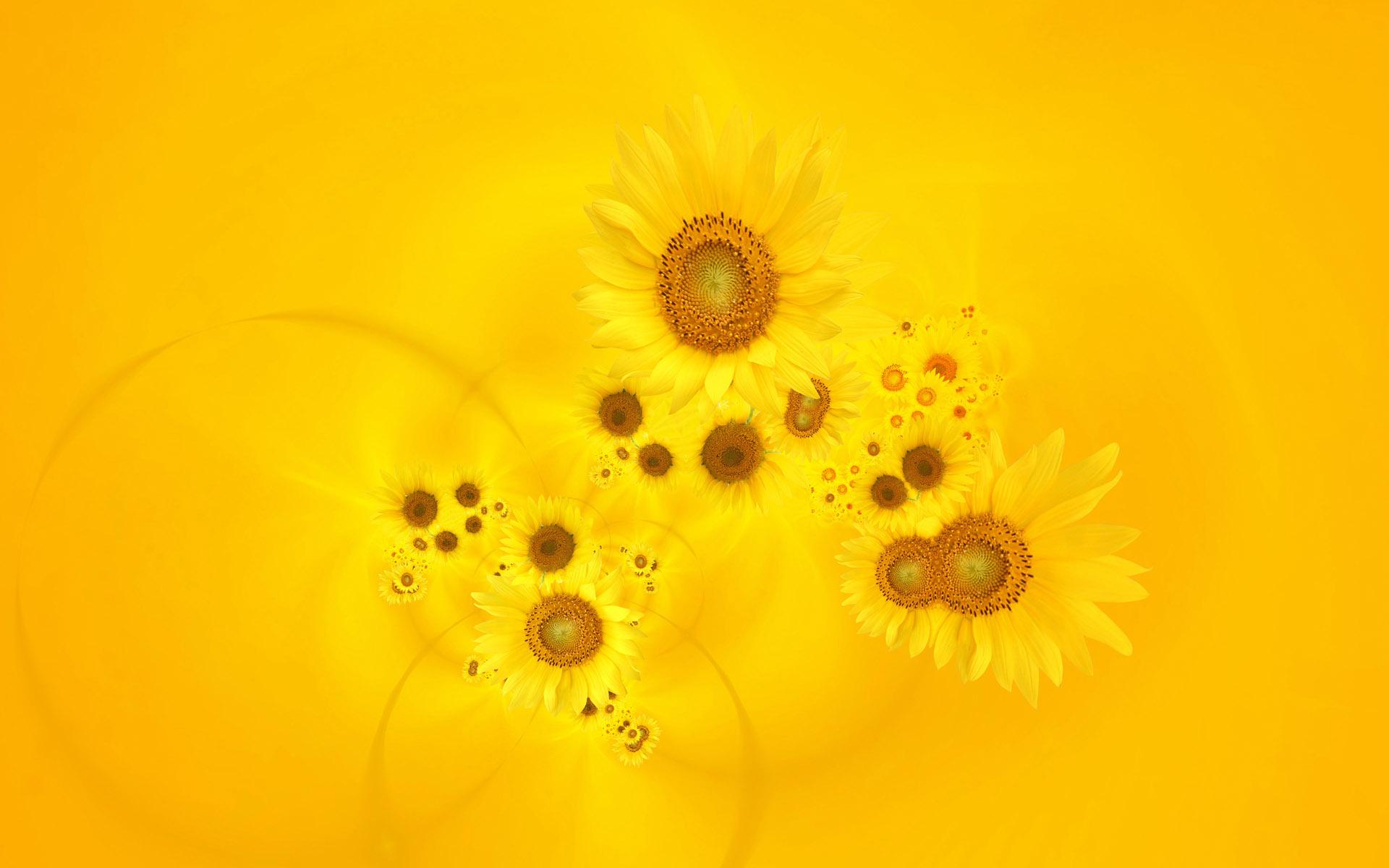 Bright Yellow Sunflowers # 1920x1200. All For Desktop