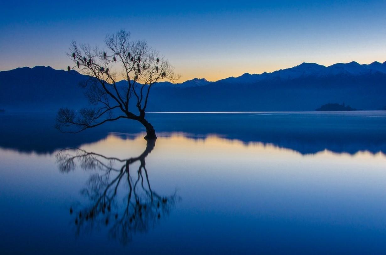 nature, Landscape, Calm, Blue, Water, Trees, Lake, Reflection