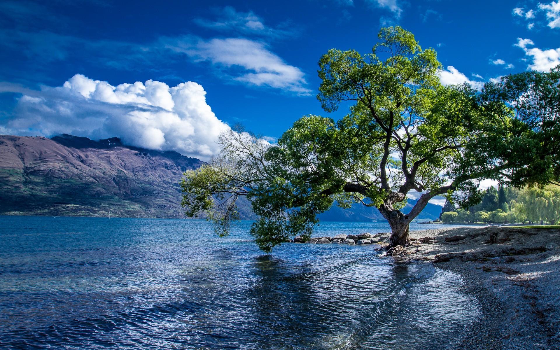 Lake Wakatipu in Queenstown, New Zealand HD Wallpaper. Background