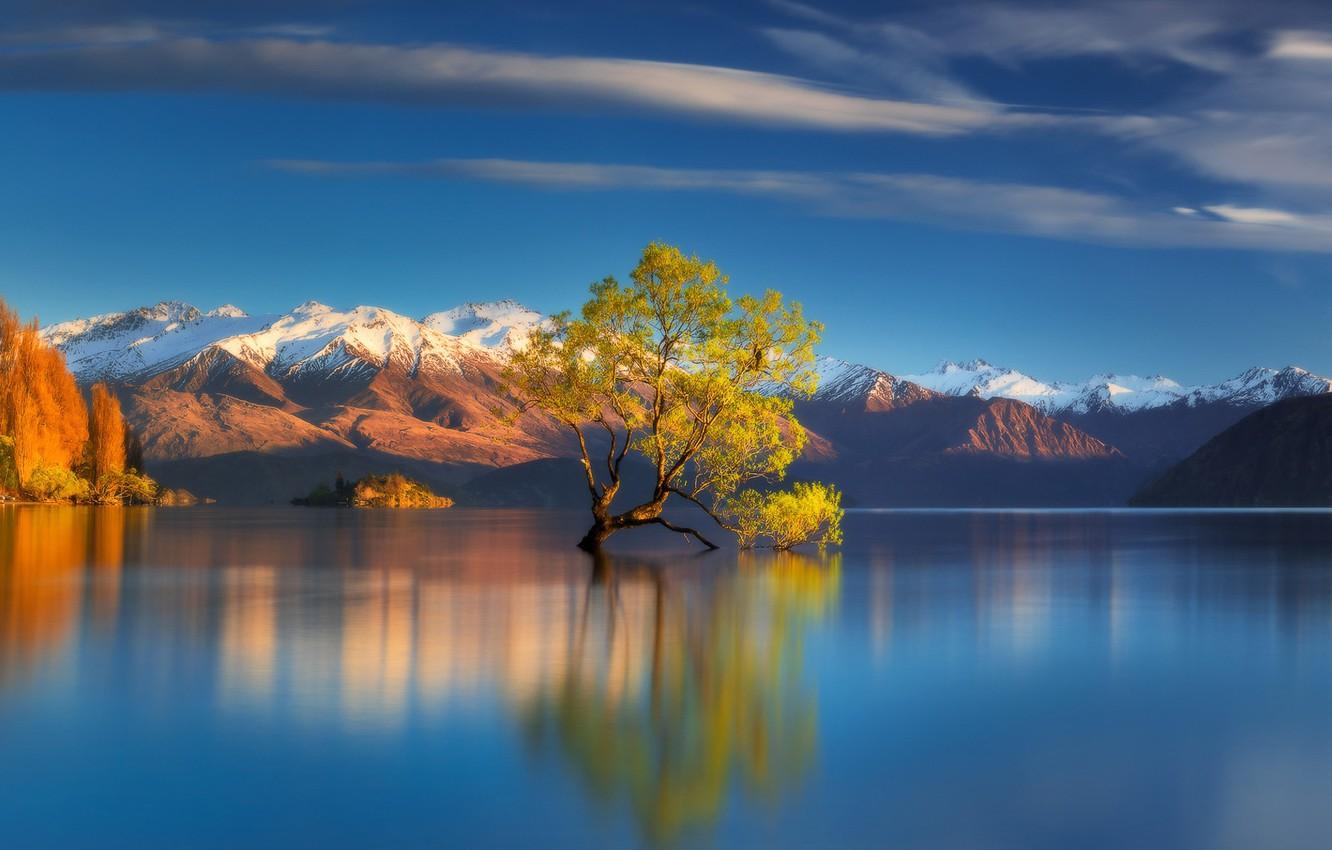 Wallpaper autumn, mountains, lake, tree, New Zealand, New Zealand