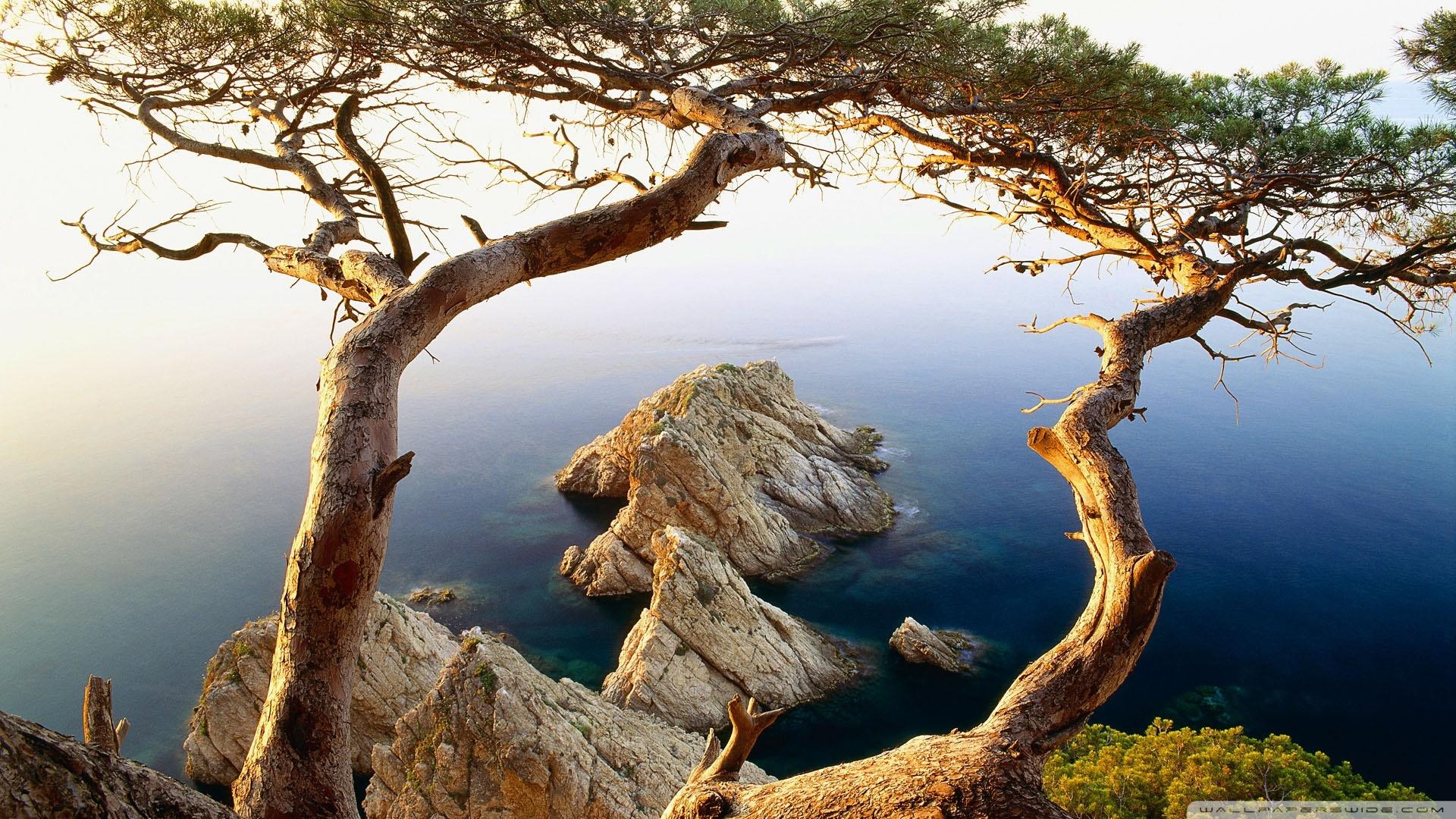 Rocky Coast ❤ 4K HD Desktop Wallpaper for 4K Ultra HD TV • Wide