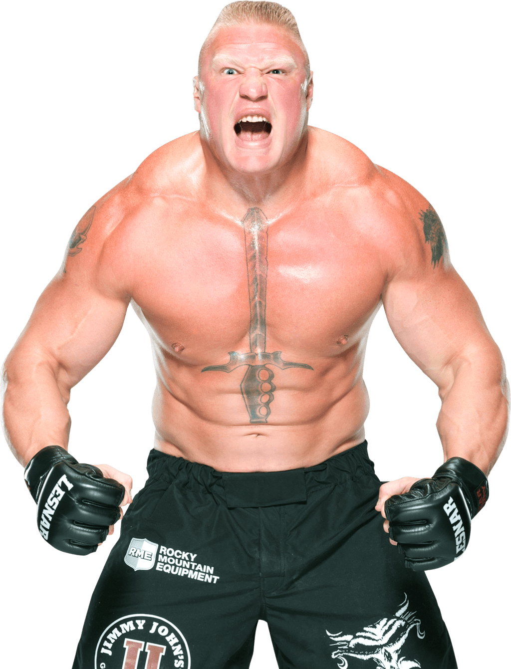 Brock Lesnar PNG Transparent Brock Lesnar PNG Image
