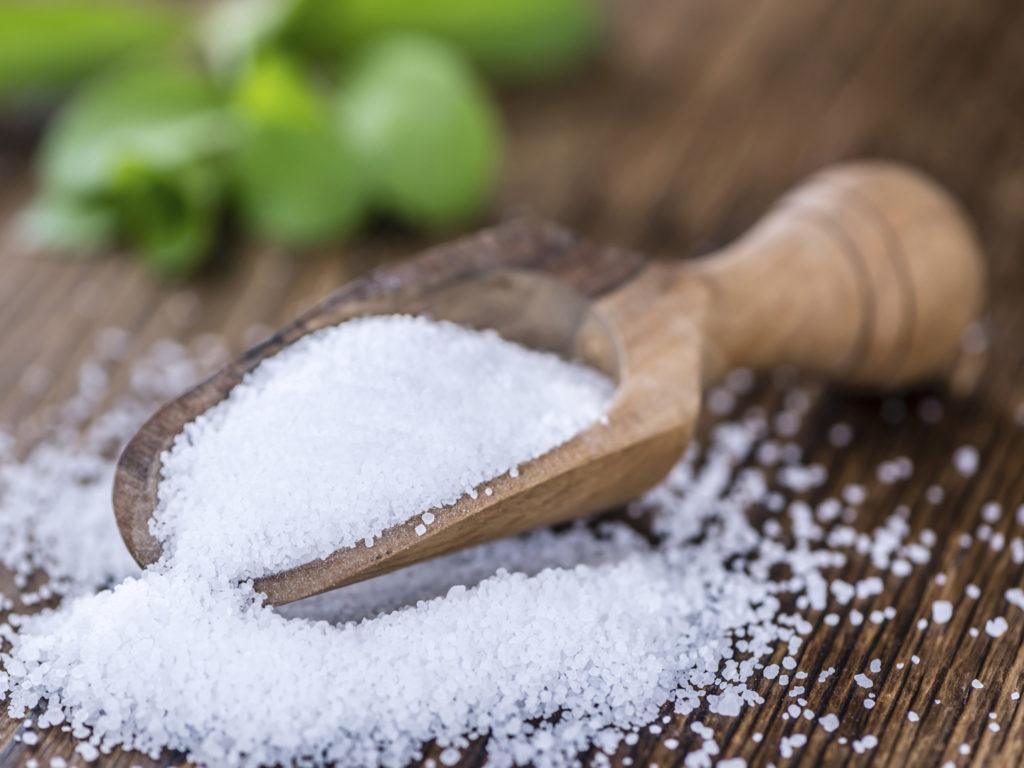 Stevia: A Sweet Zero Calorie Sugar Substitute