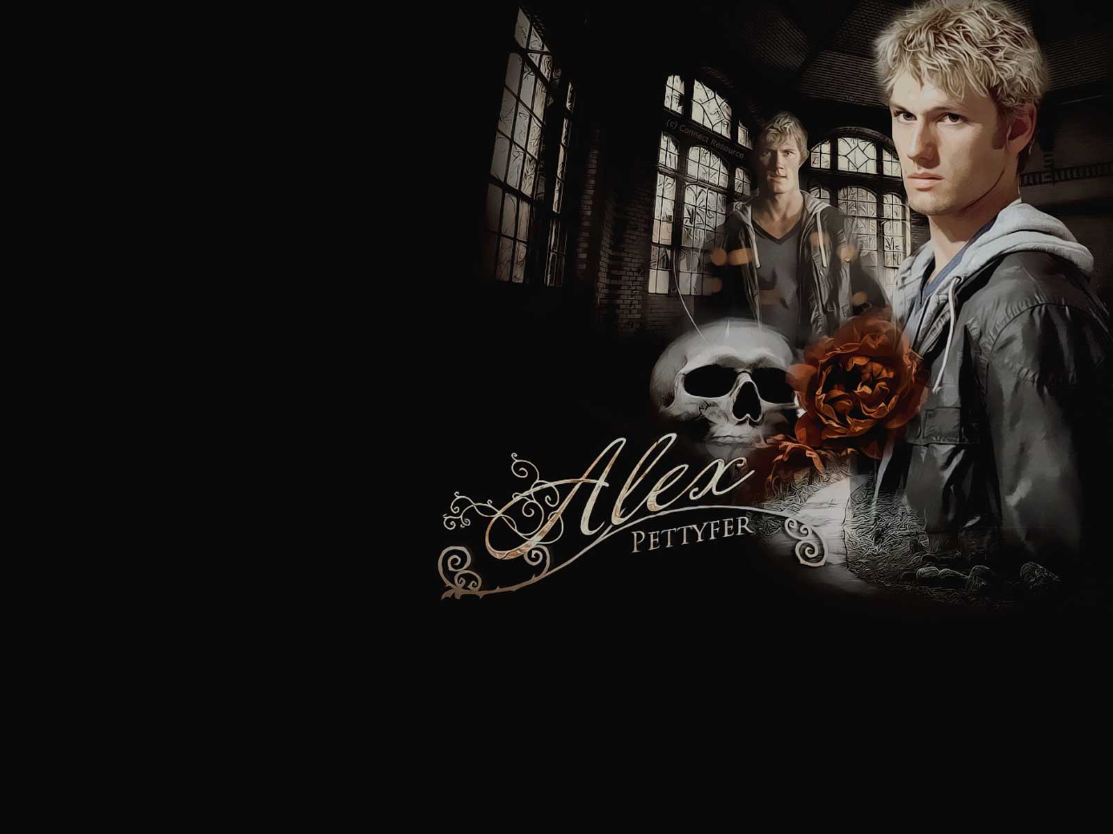 Alex Pettyfer Wallpapers - Wallpaper Cave