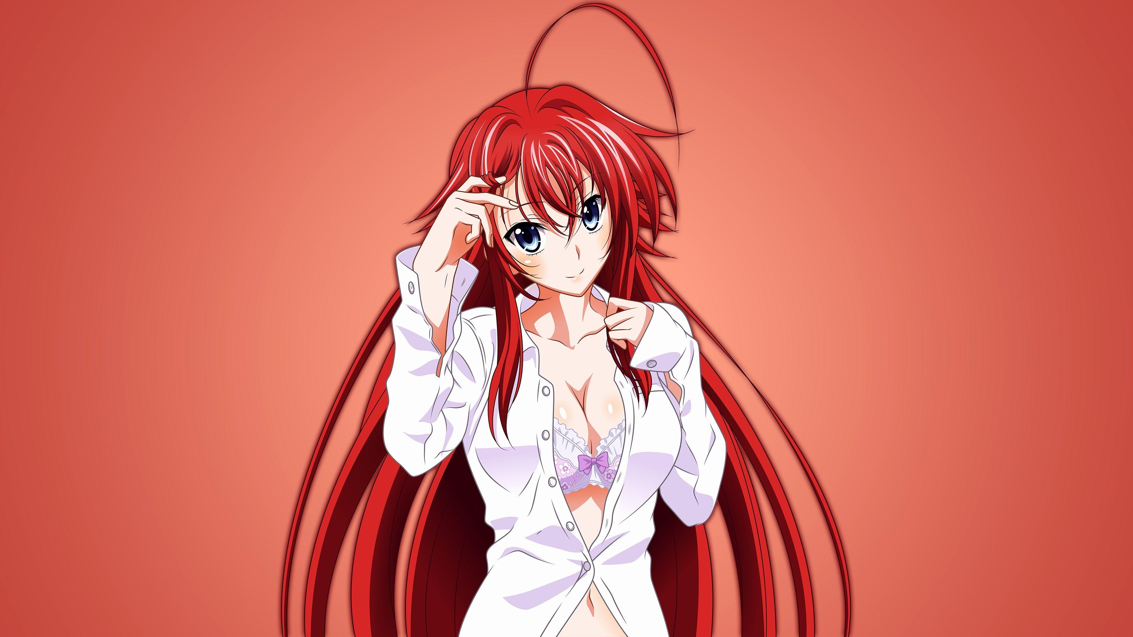 Highschool Dxd Wallpaper Lovely Rias Gremory High