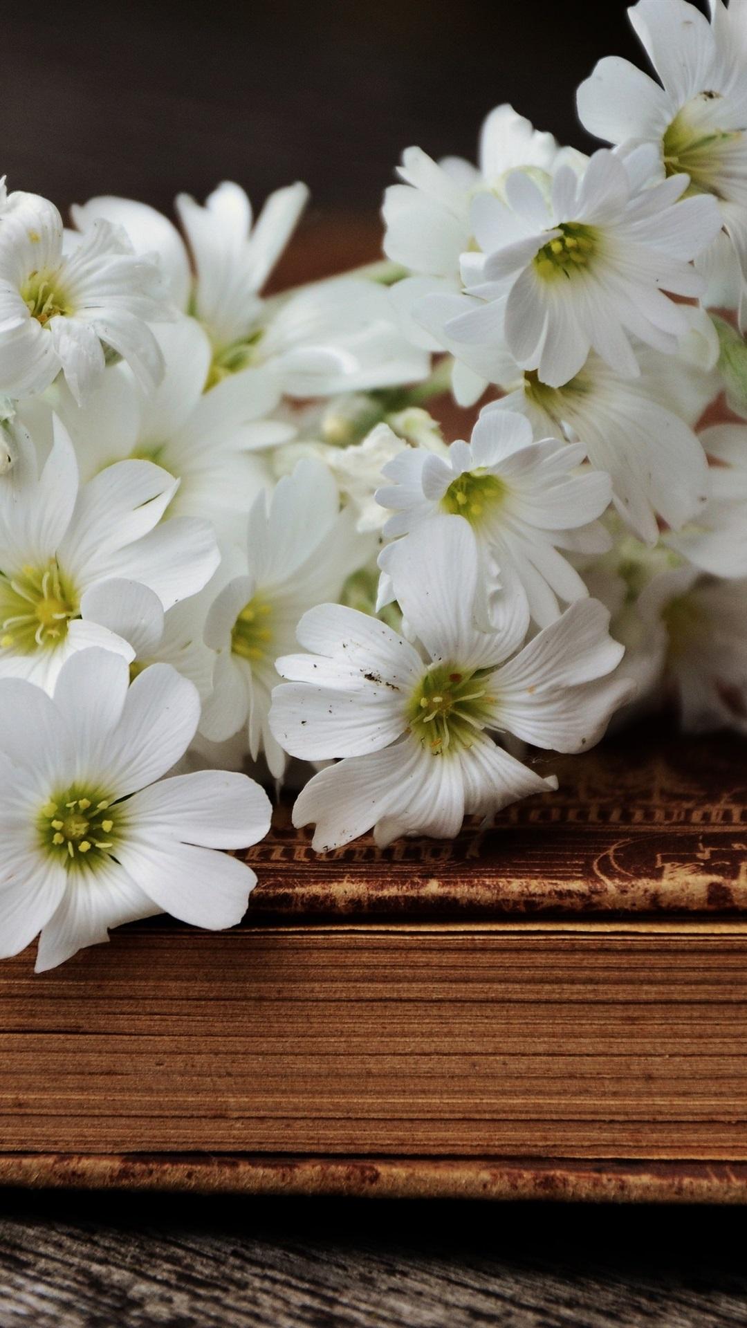 Wallpaper White little flowers and book 3840x2160 UHD 4K Picture, Image