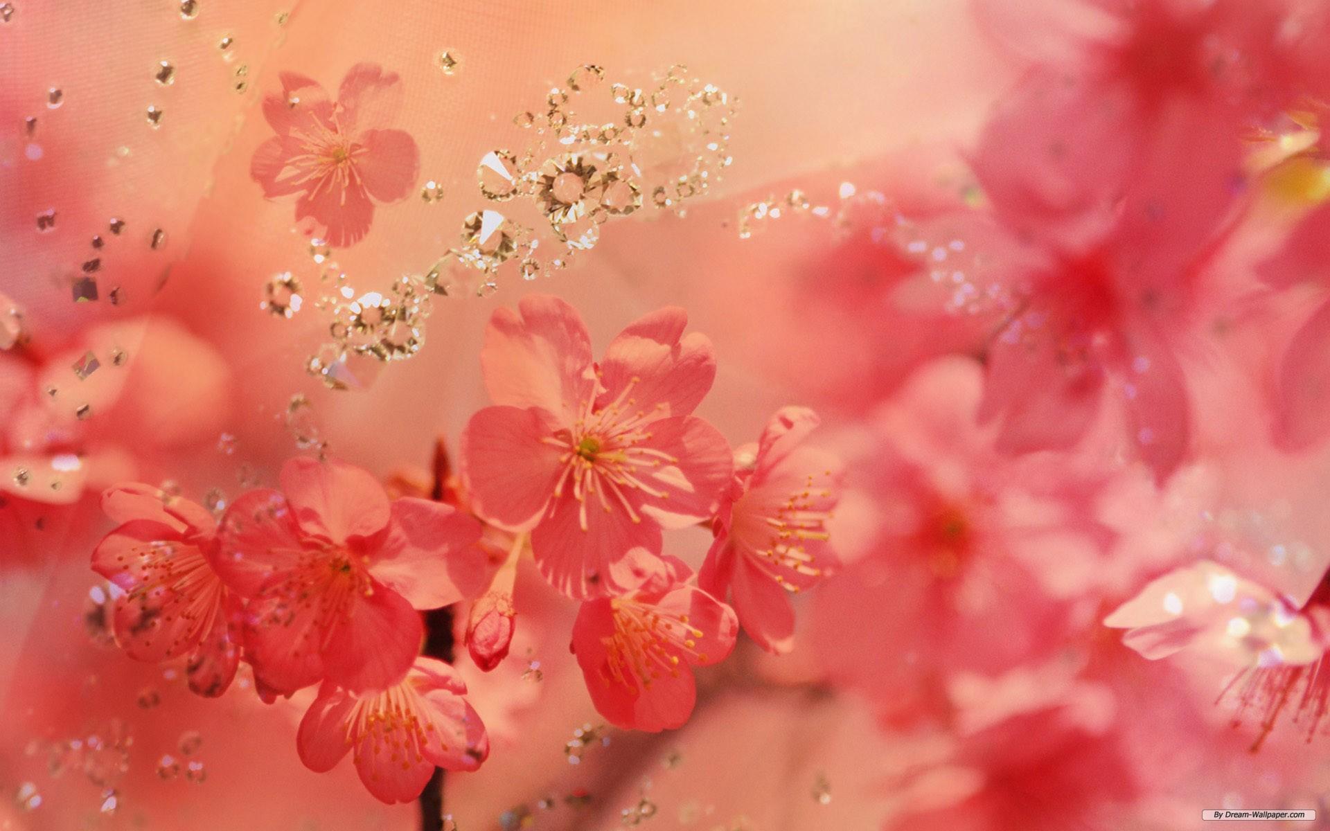 Spring Flower Wallpaper. Wide Screen Wallpaper 1080p, 2K, 4K