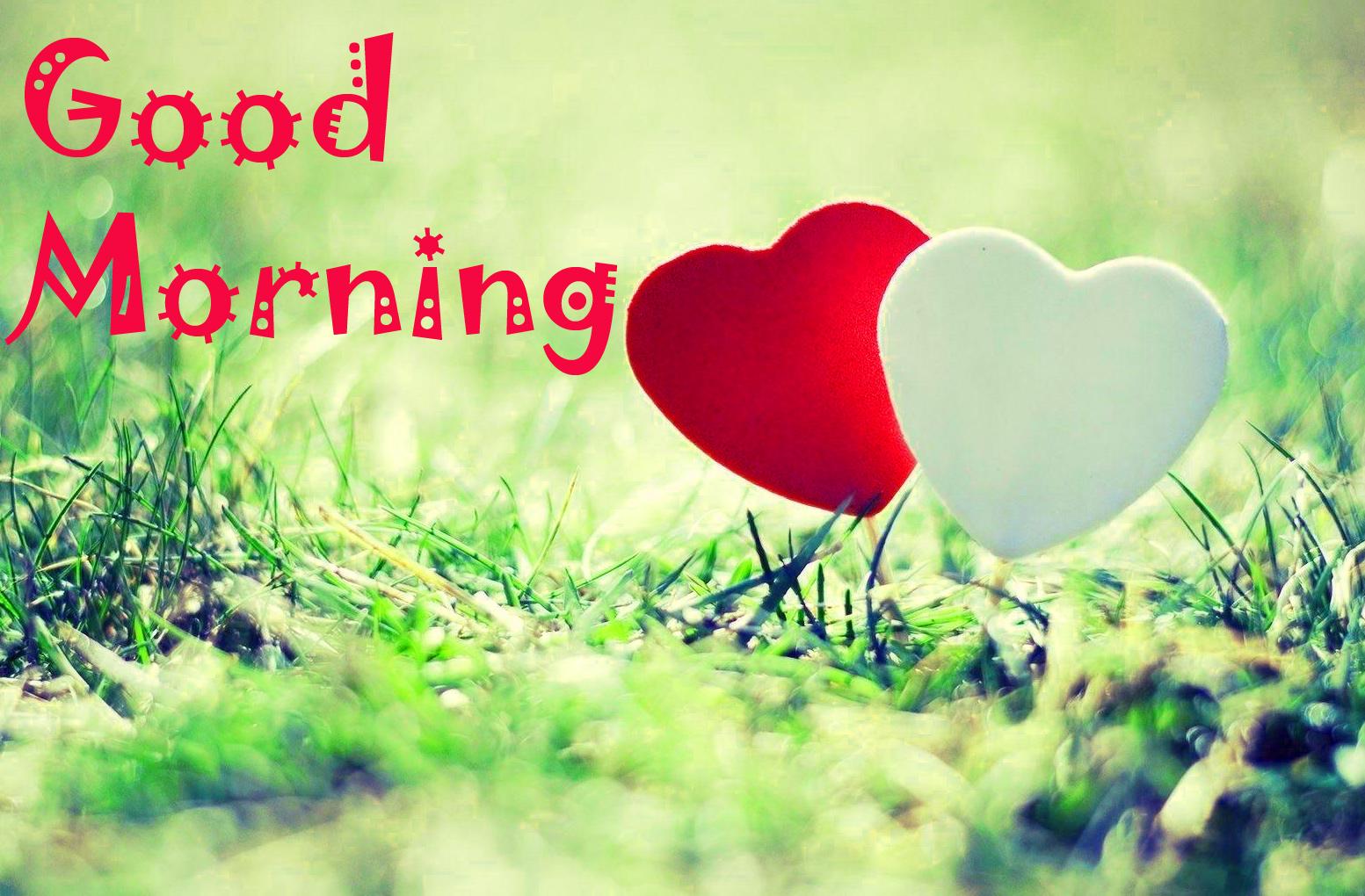Latest Good Morning Image Wallpapers Photo Pics HD Download For