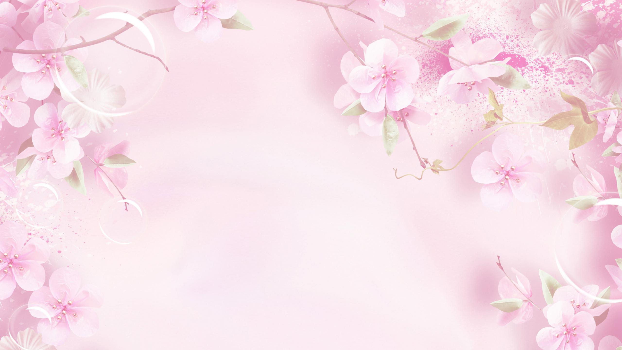 Petal, Floral Design, Blossom, Spring, Flower WQHD, QHD, 16:9