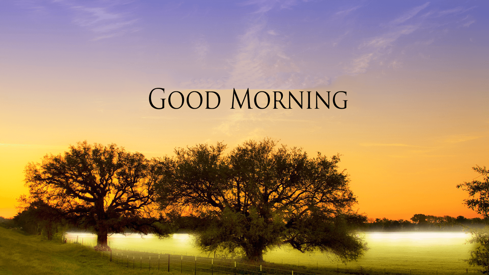 Good Morning Wallpapers HD Download Free 1080p