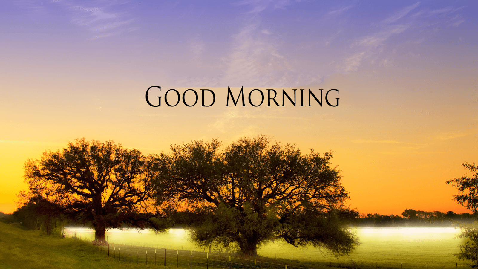 150+ Good Morning Sunrise Images {HD Photos & Nature Wallpapers}