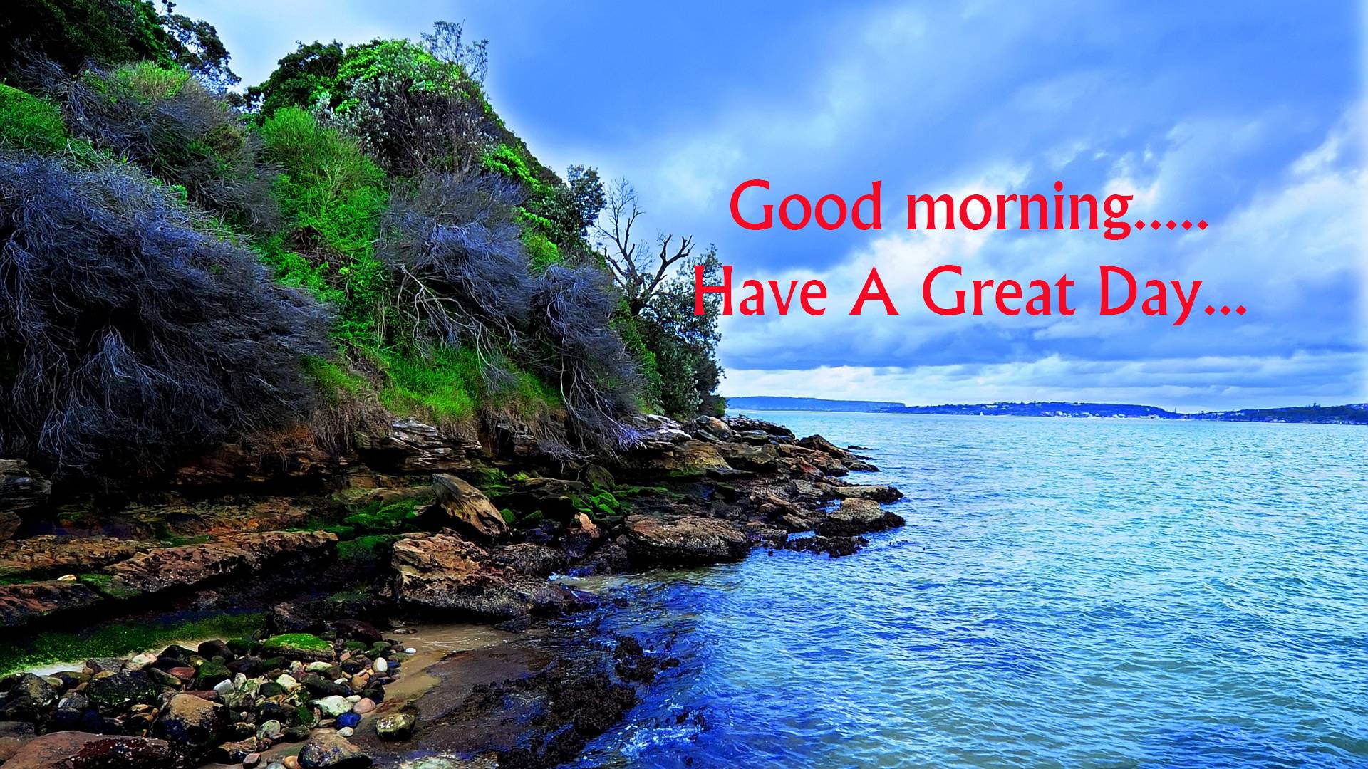 Good Morning Wishes Pictures, Image