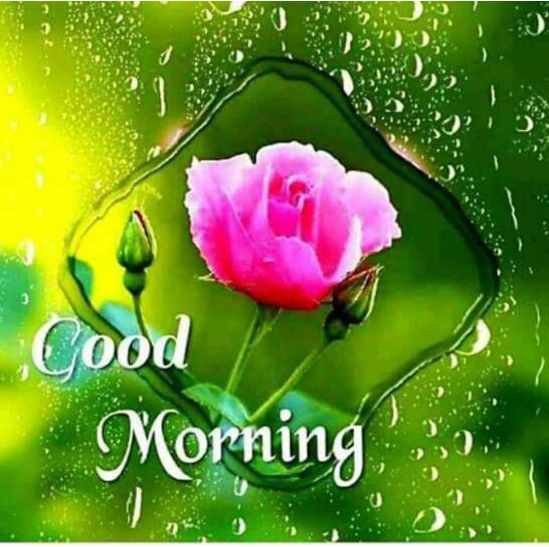 Good Morning Wallpapers Download Wallpaper Cave
