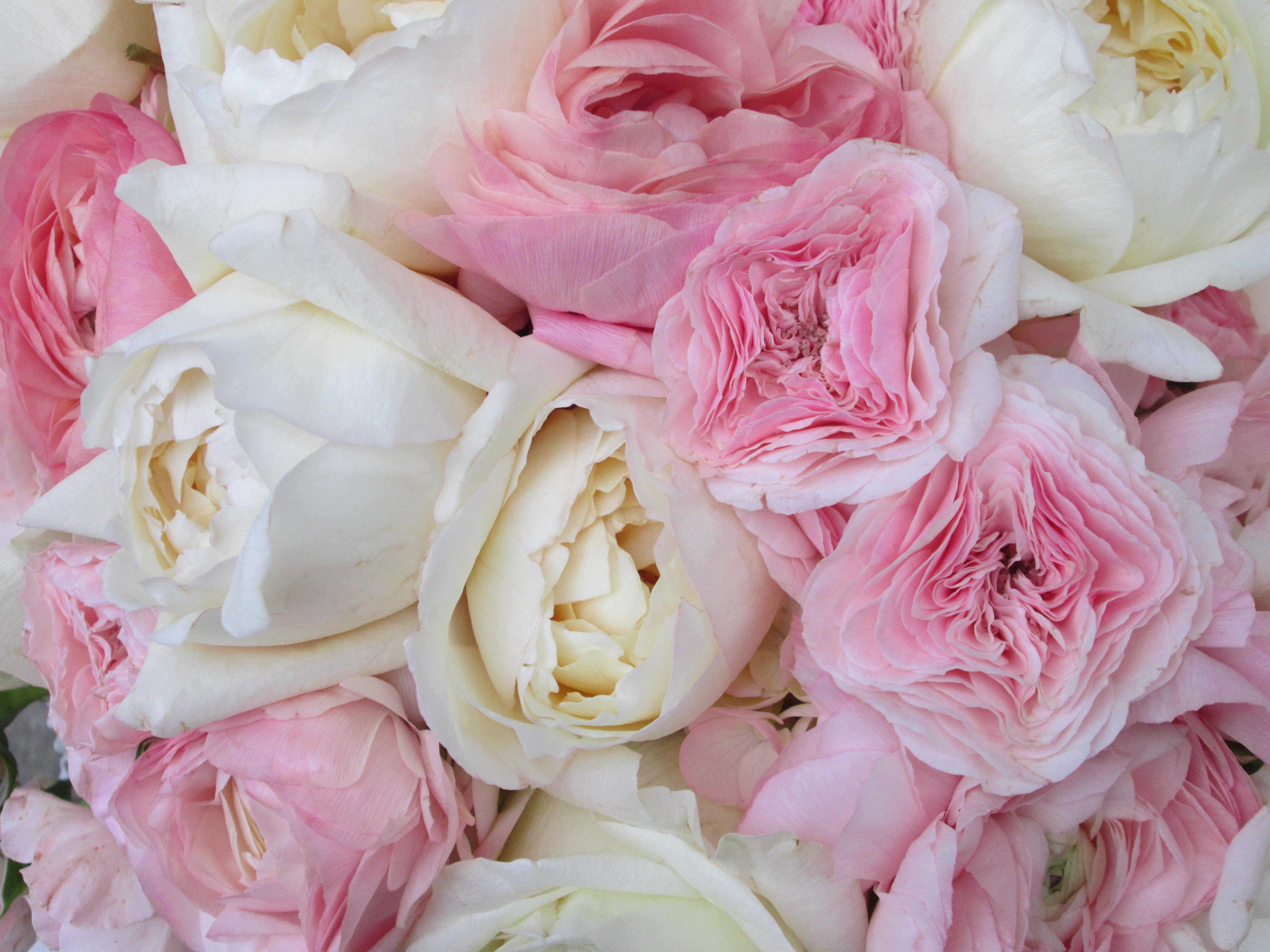 Light Pink Wedding. Dandelions Flowers & Gifts