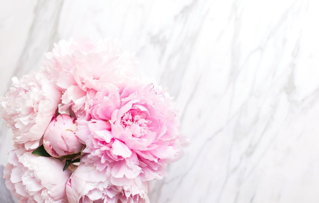 Wallpaper flowers, bouquet, marble, pink, flowers, peonies, peonies