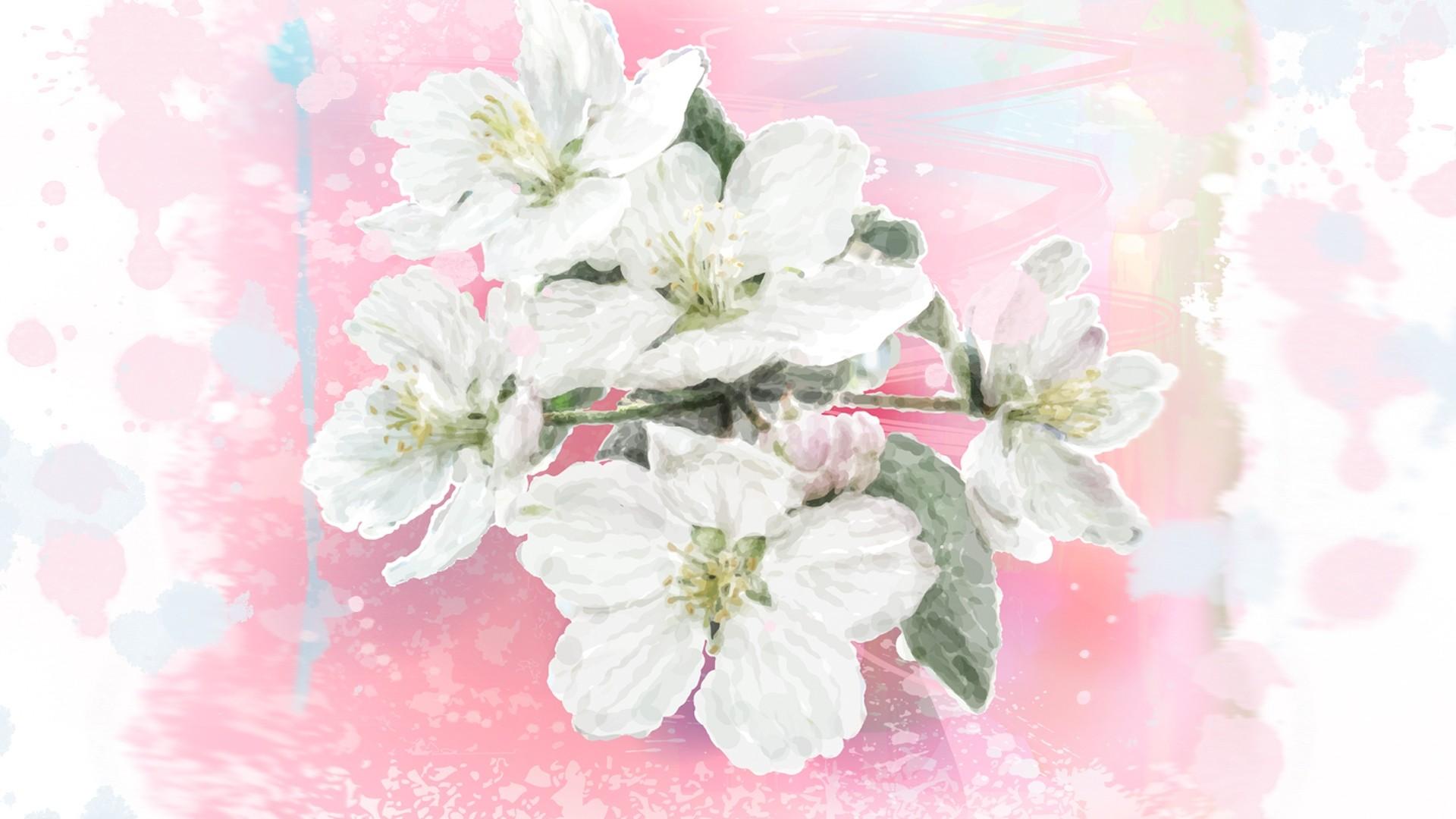 Flowers: Apple Blossom Watercolor Flowers Splatter Spring Blossoms