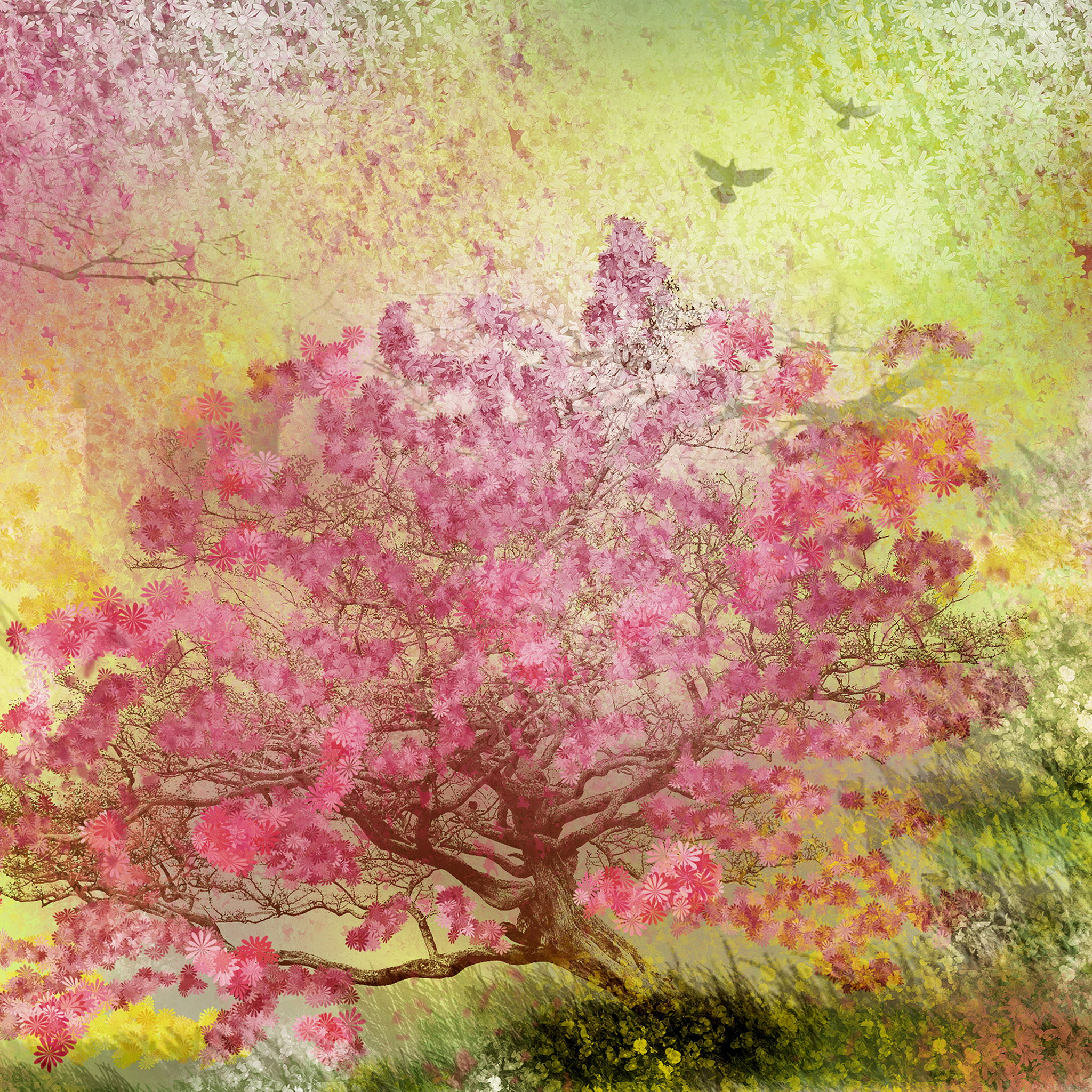 Nature Spring Blossom Trees iPad Air Wallpaper Download. iPhone