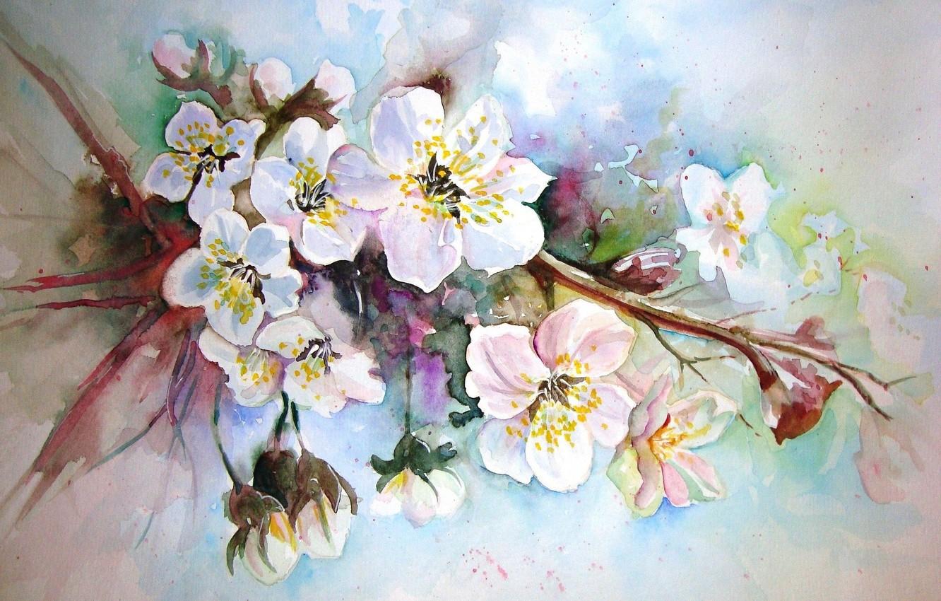 Wallpaper figure, picture, watercolor, painting, Apple blossoms