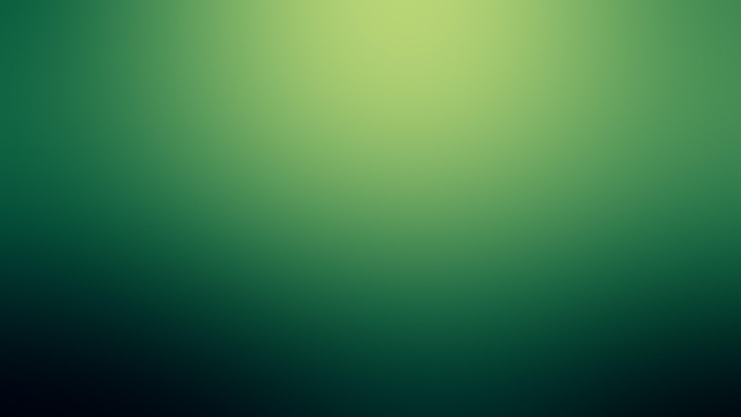 Green Gradient Wallpaper 26051 2560x1440px