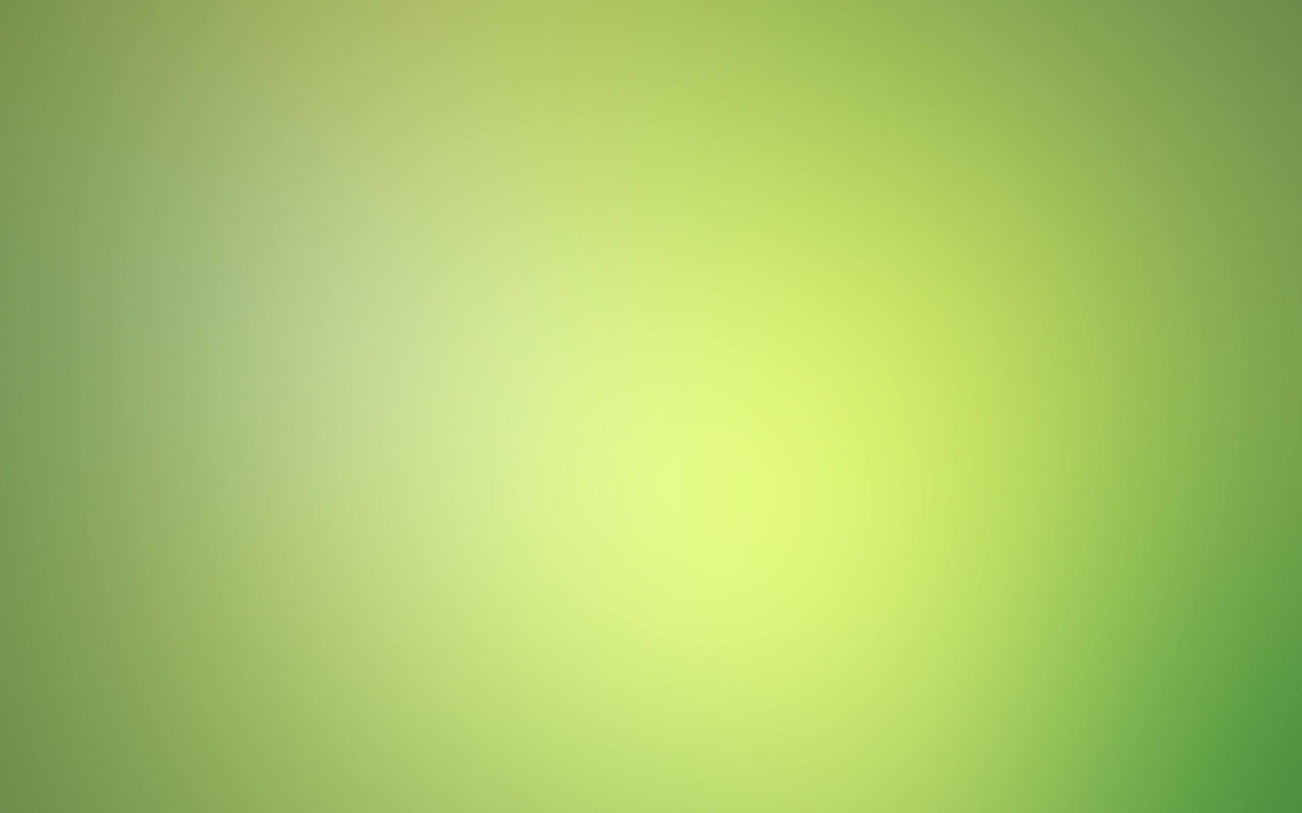Light green gradient background wallpaper and image