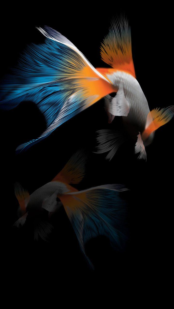 Goldfish HTC Desire 816 wallpaper wallpaper free download