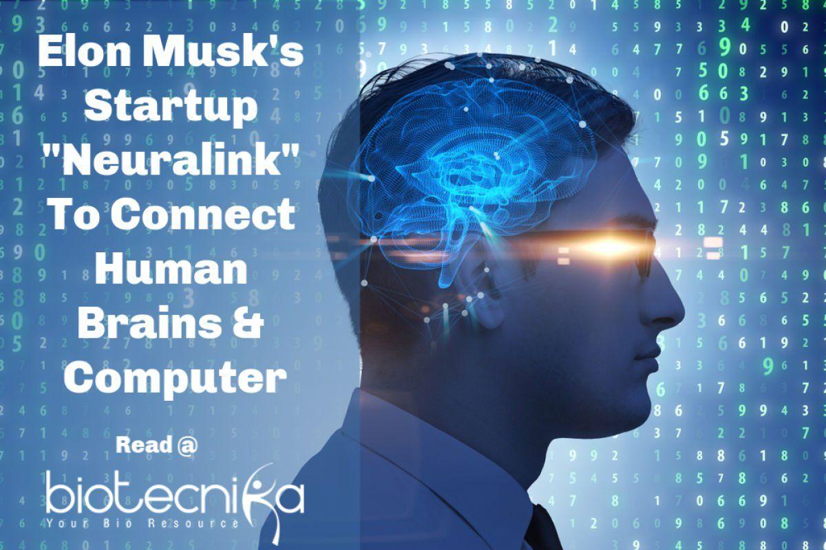 Neuralink Wallpapers - Wallpaper Cave