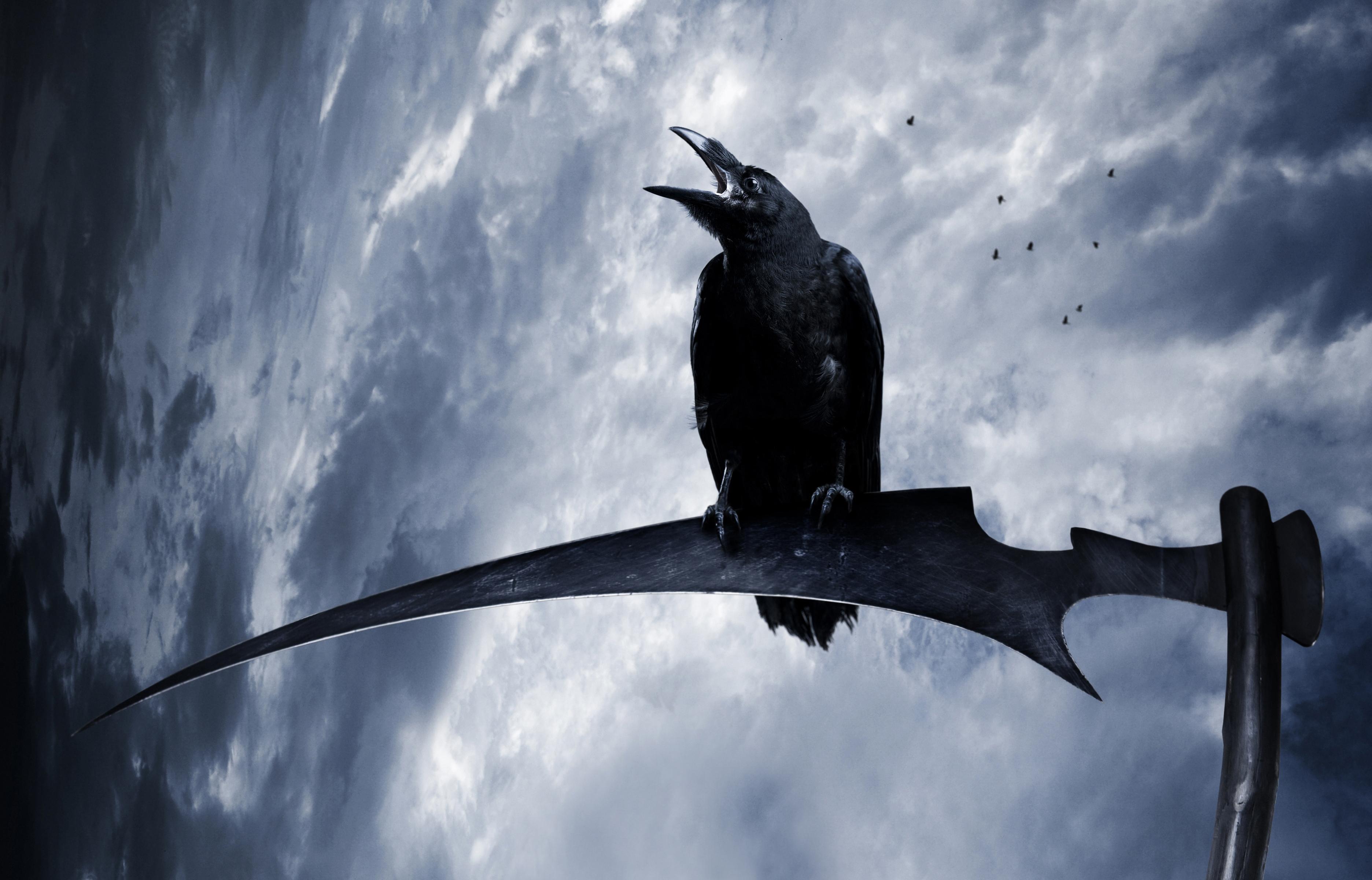 gothic, Crows, Sky, Braid, Hair, Fantasy, Reaper, Scythe Wallpaper