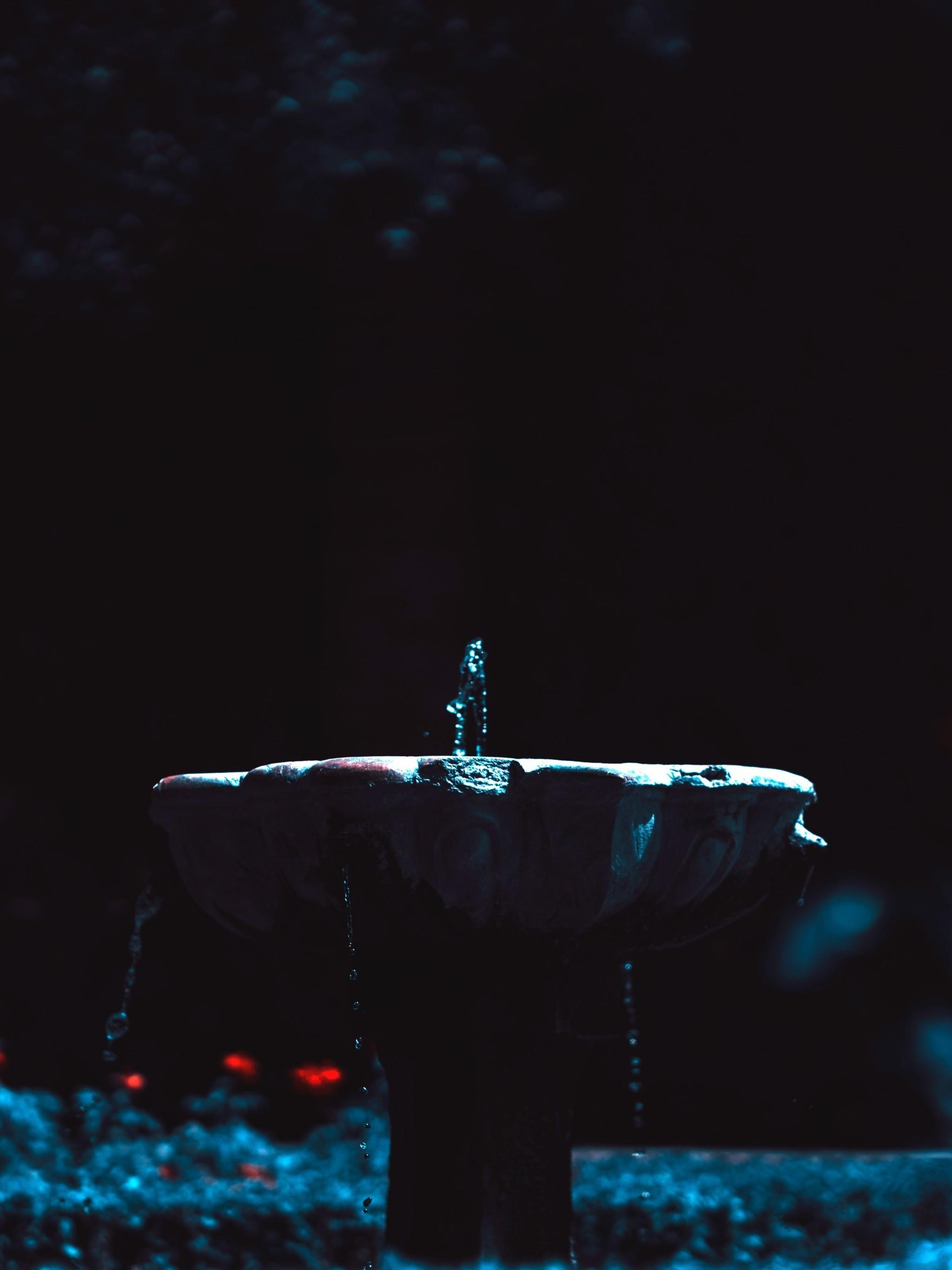 Download 2048x2732 Fountain, Dark, Photography, Red Flowers